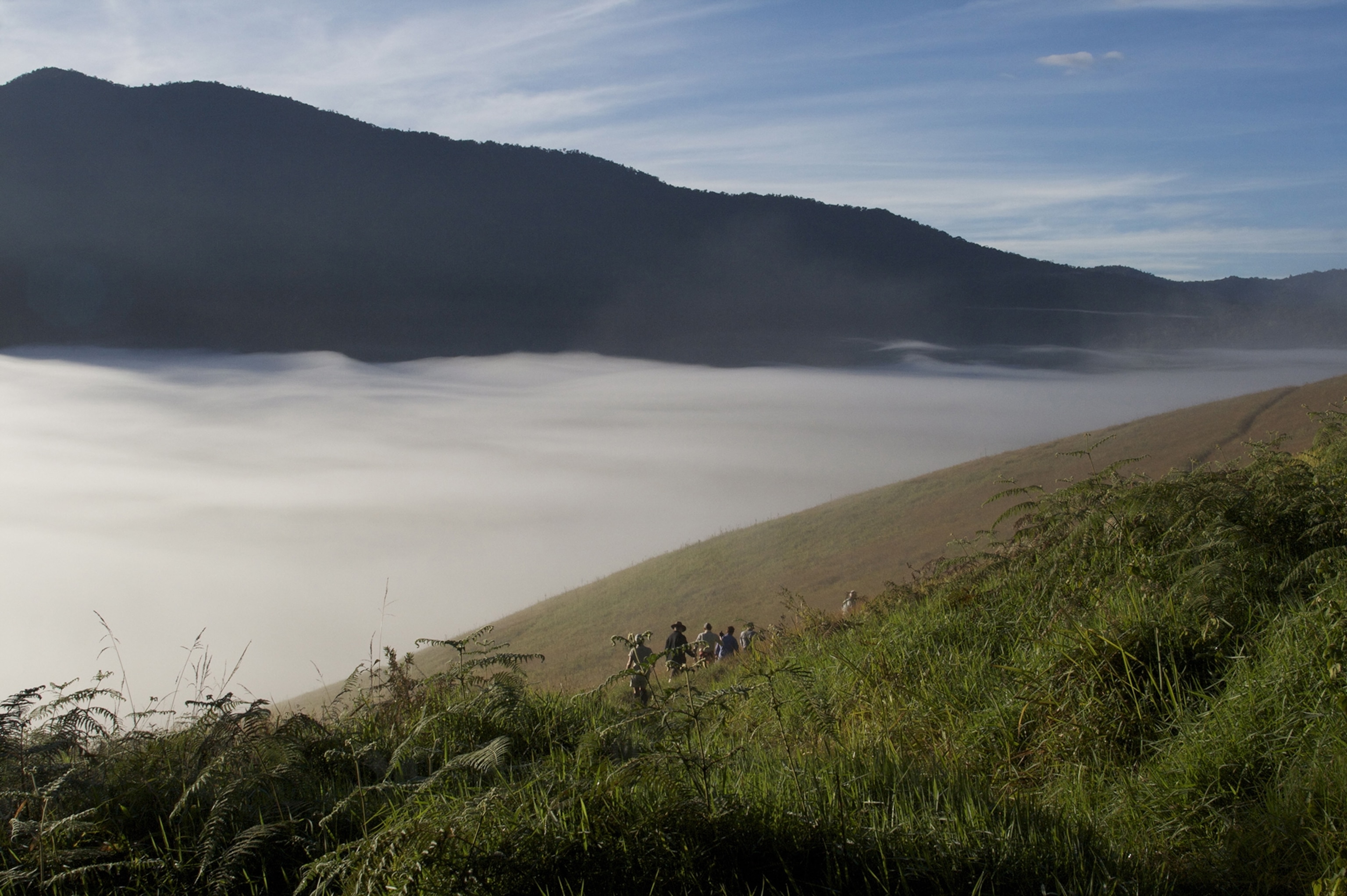 hikers on the Kokoda Trail