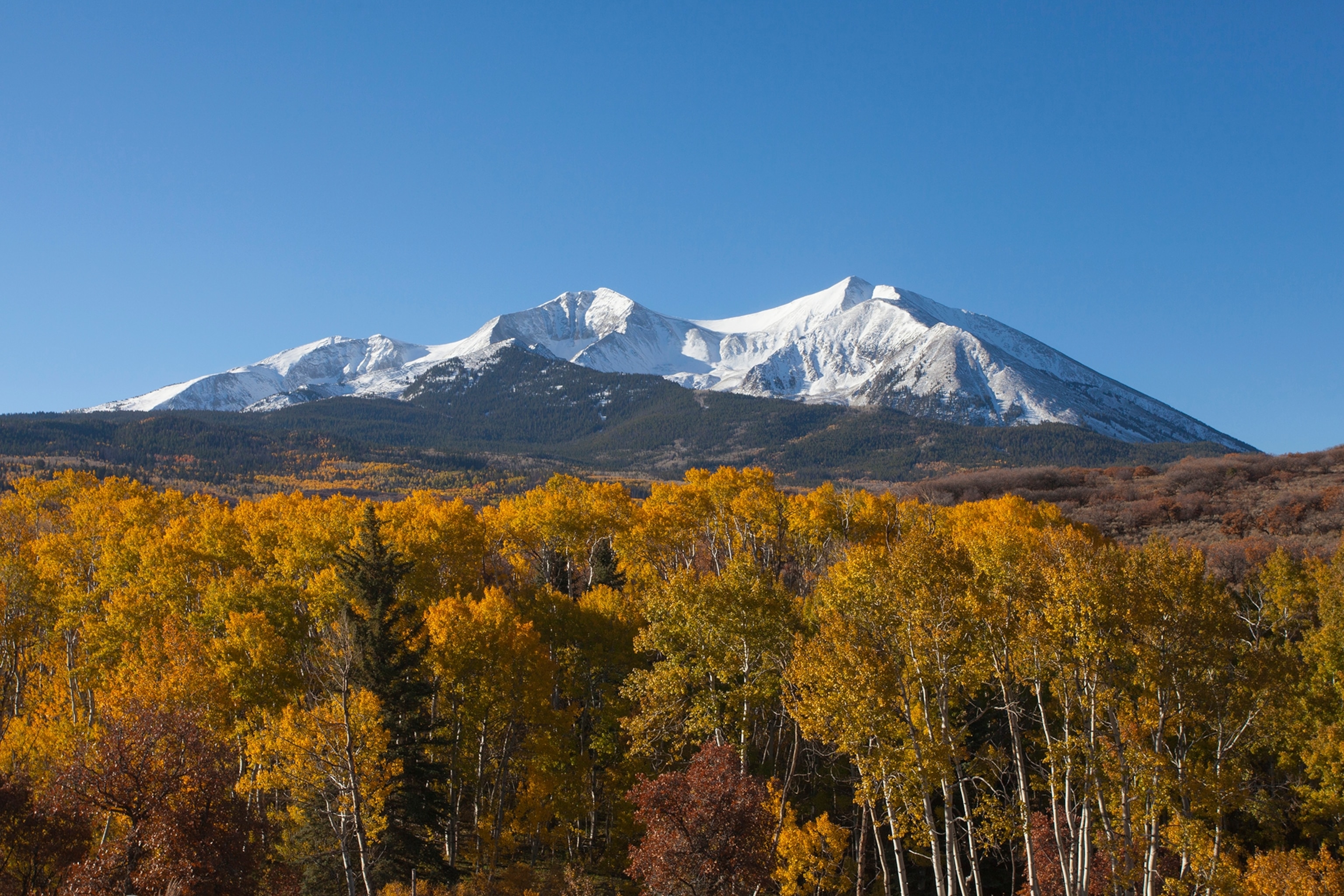 Snow capped mountain against a clear blue sky with orange, amber trees positioned at the base of the mountain