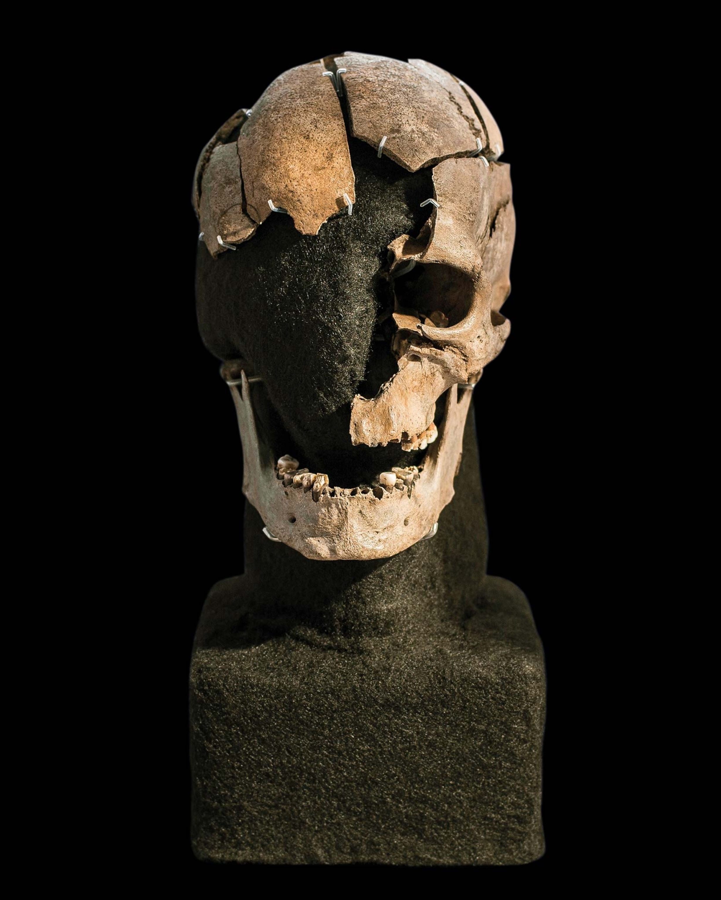 A skull held up on a mannequin in front of a black background