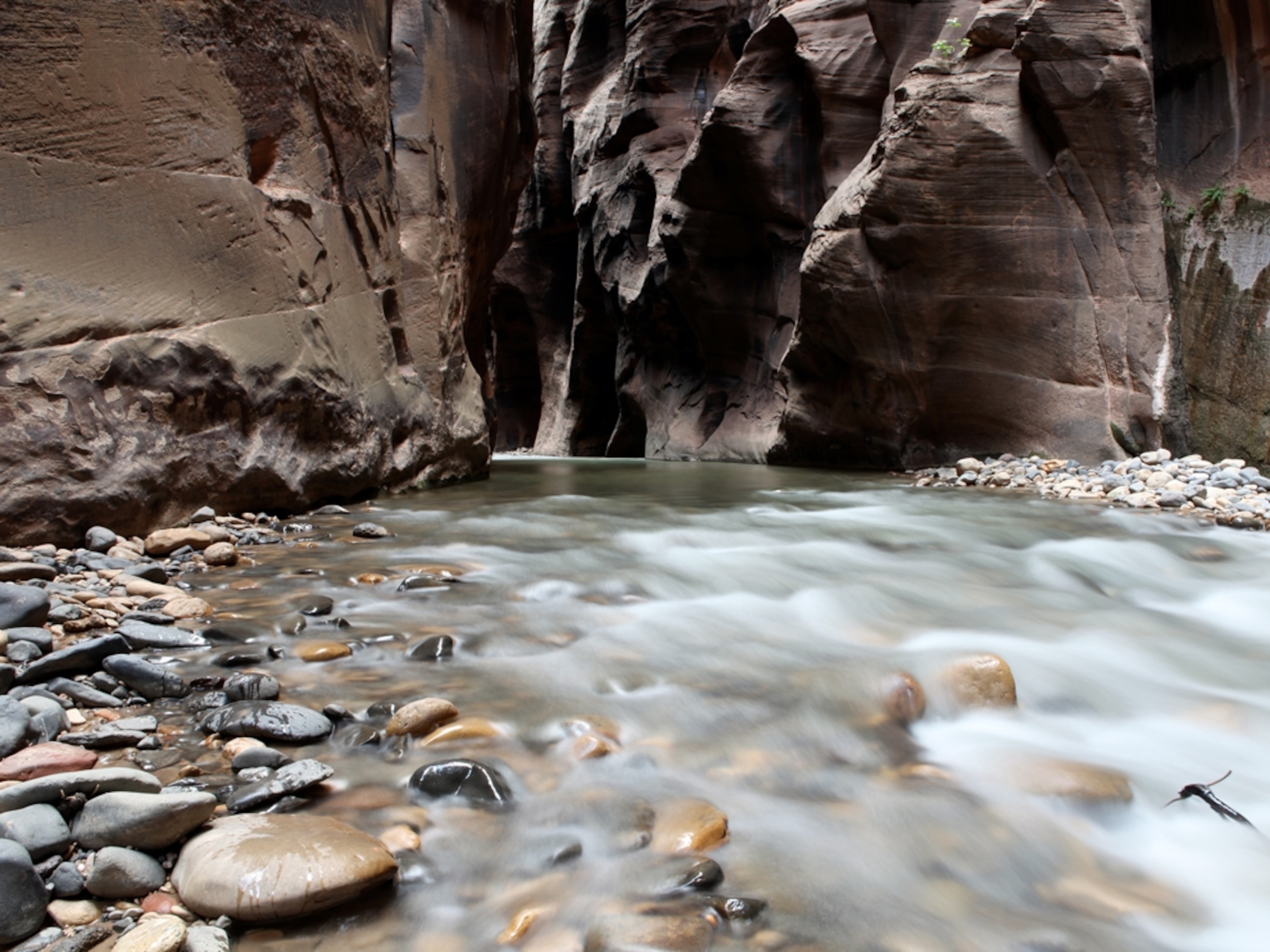 Virgin River, Zion National Park