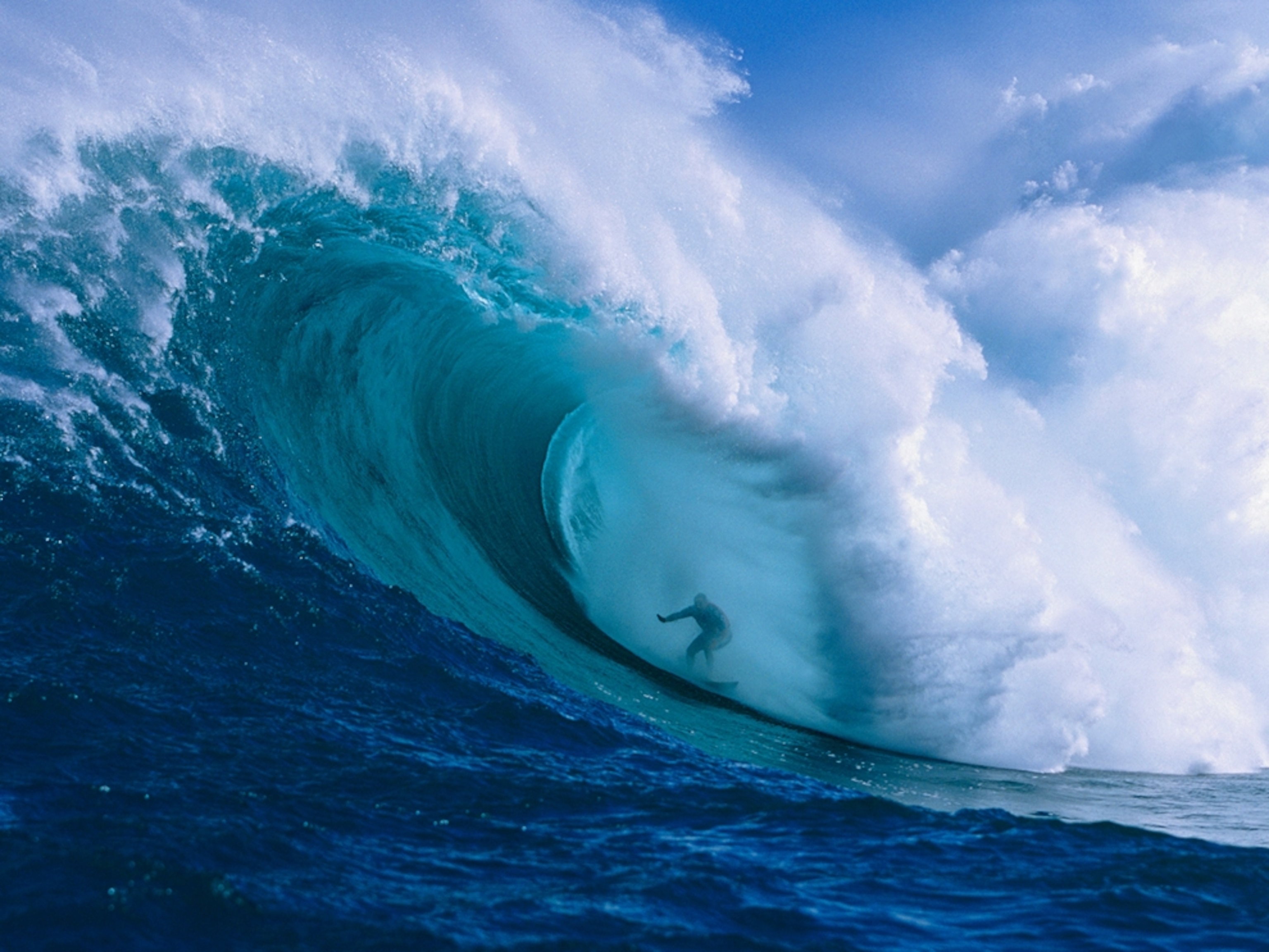 Surfer riding a large wave