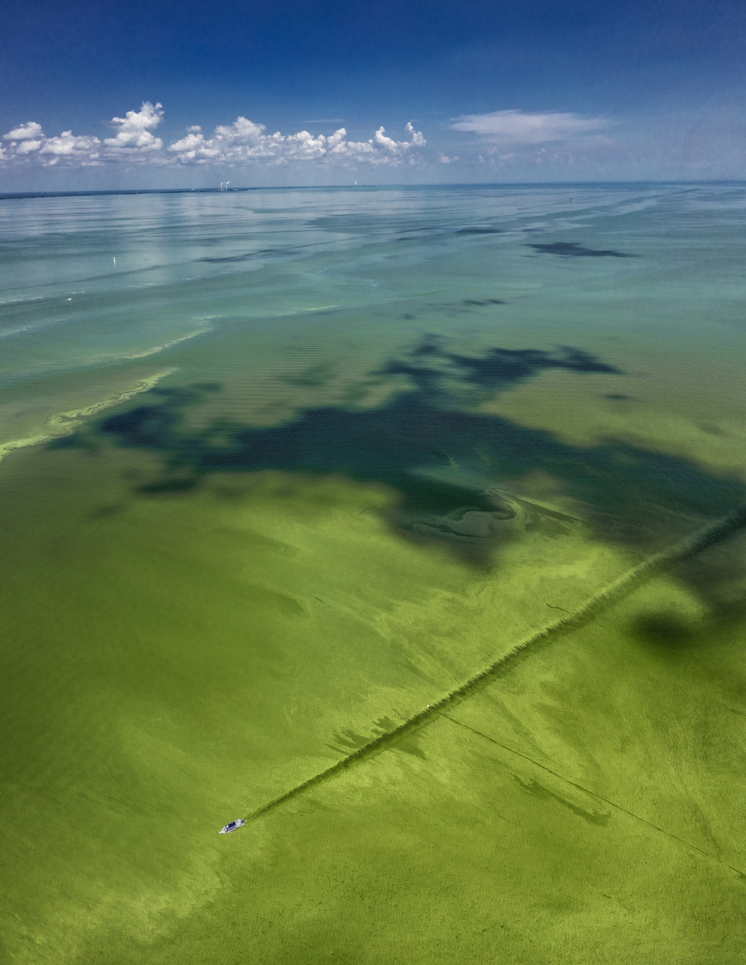 aerial of green water surface.