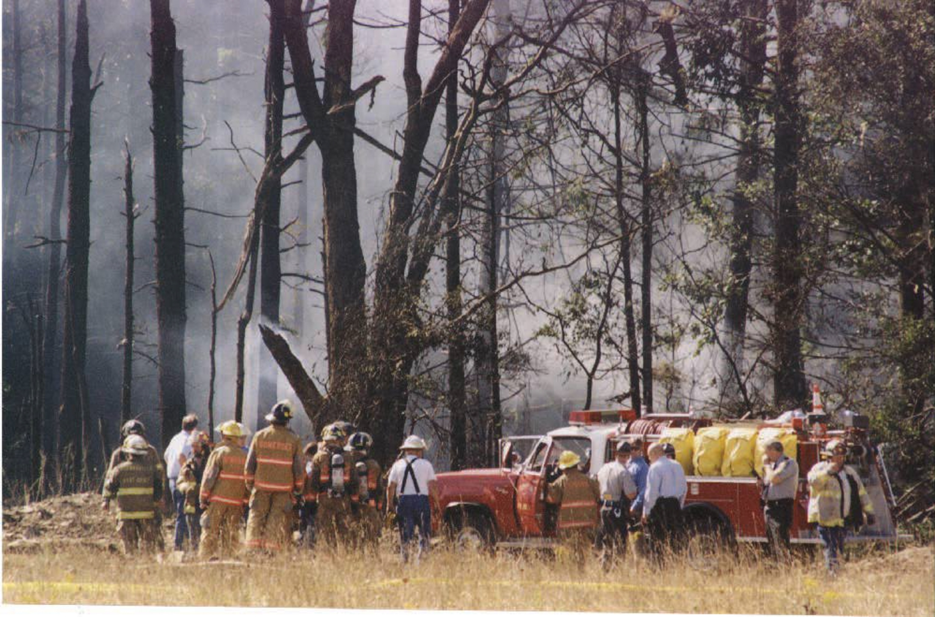firefighters looking over a smokey forest after a plane crash