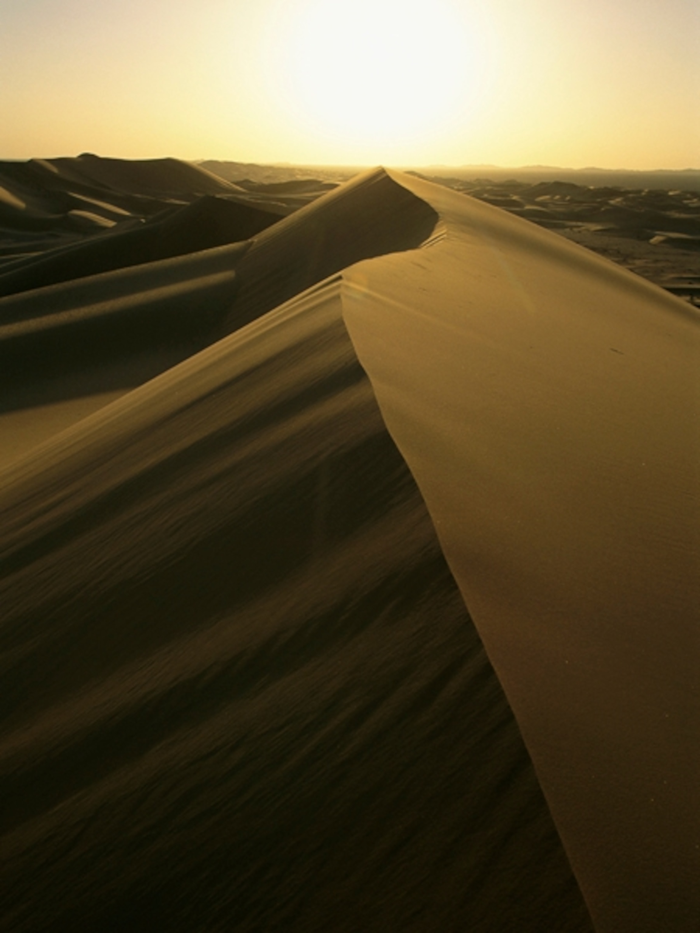 Endless sand dunes of the Ash Samat, south of Nizwa in the interior of Oman