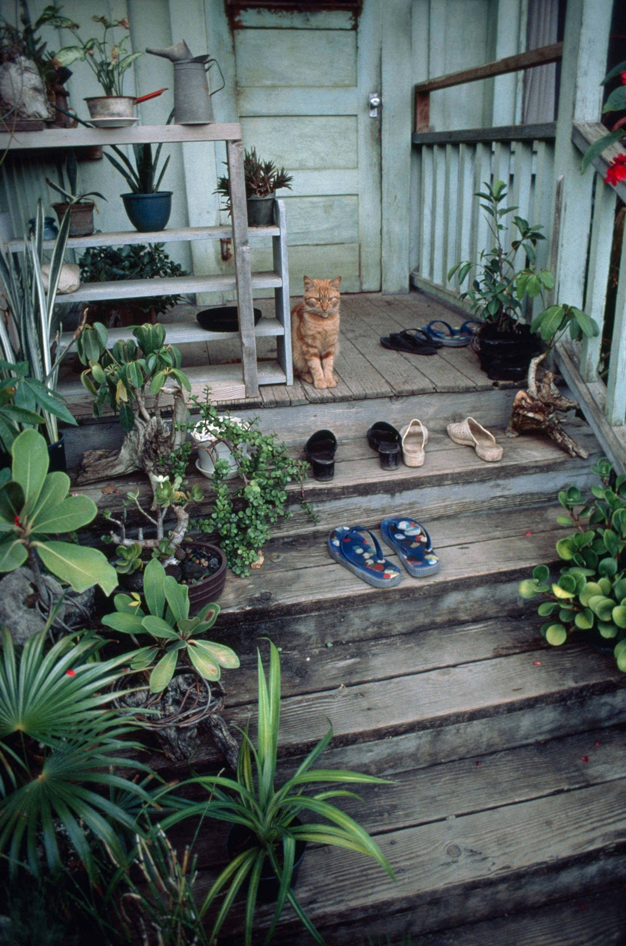 A well-worn stairway leads to a house on Oahu's North Shore.