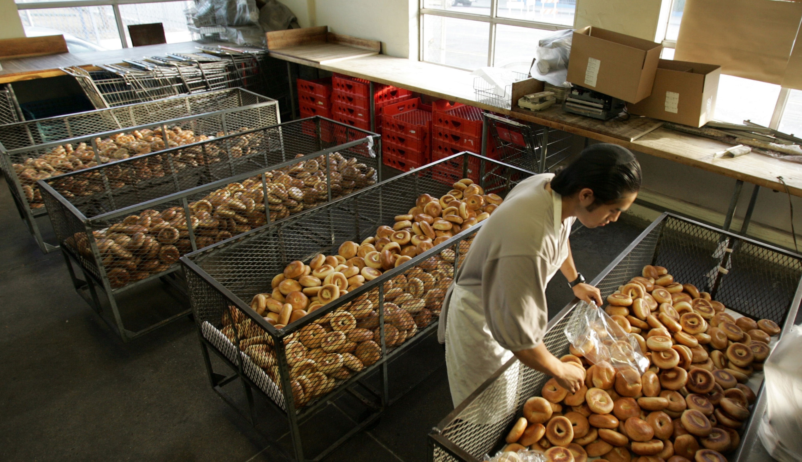 a man looks at hundreds of bagels in a large wire basket in a bakery