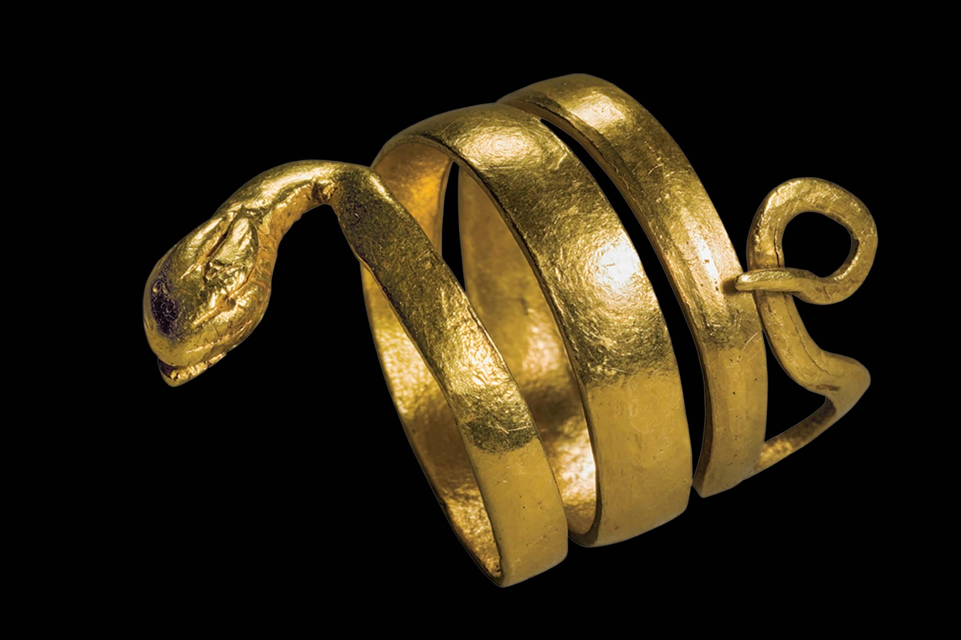 A snake-shaped golden ring that coils around the finger