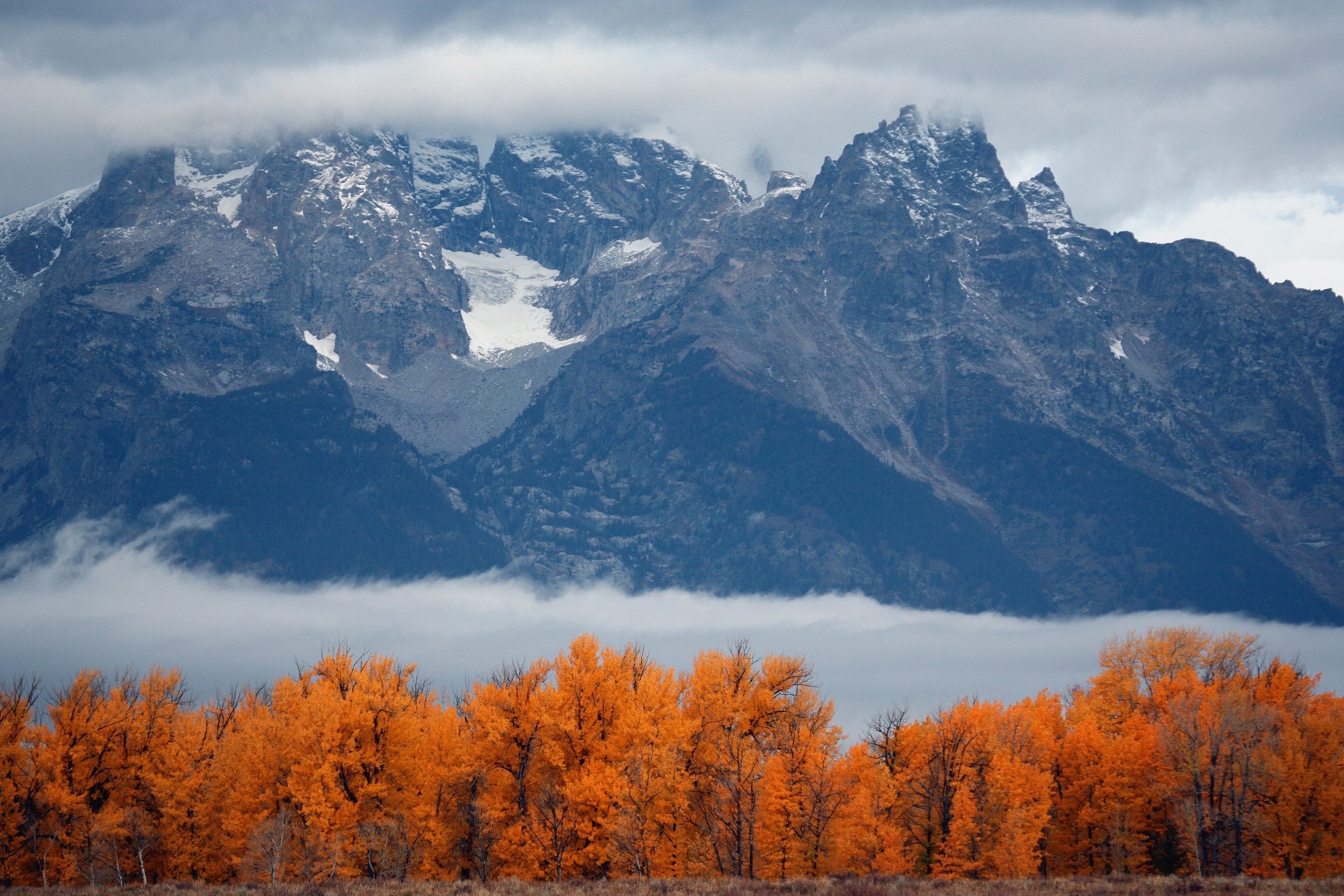 fall colors in Grand Teton National Park in Wyoming