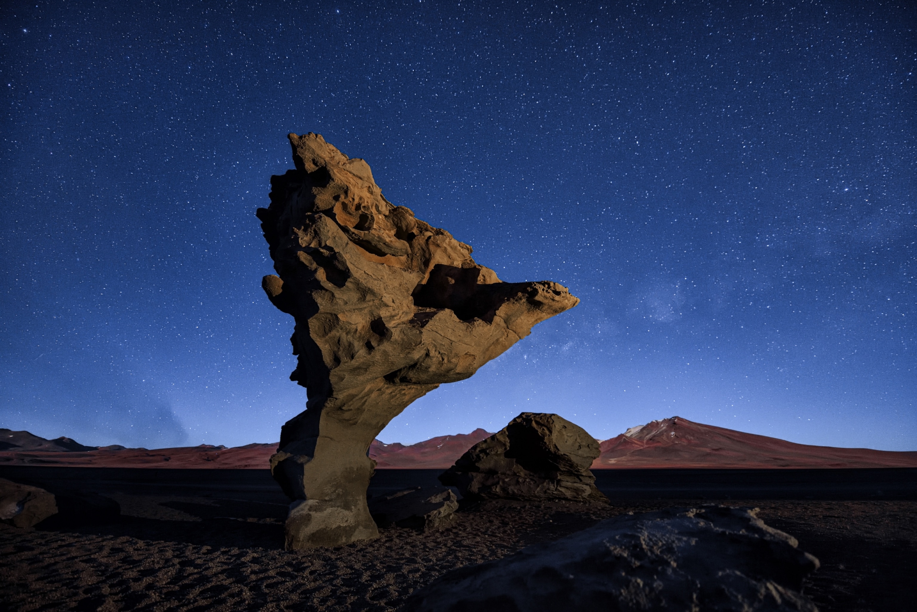 A rock formation that vaguely resembles a tree, lit by flash at night, the sky above full of stars.