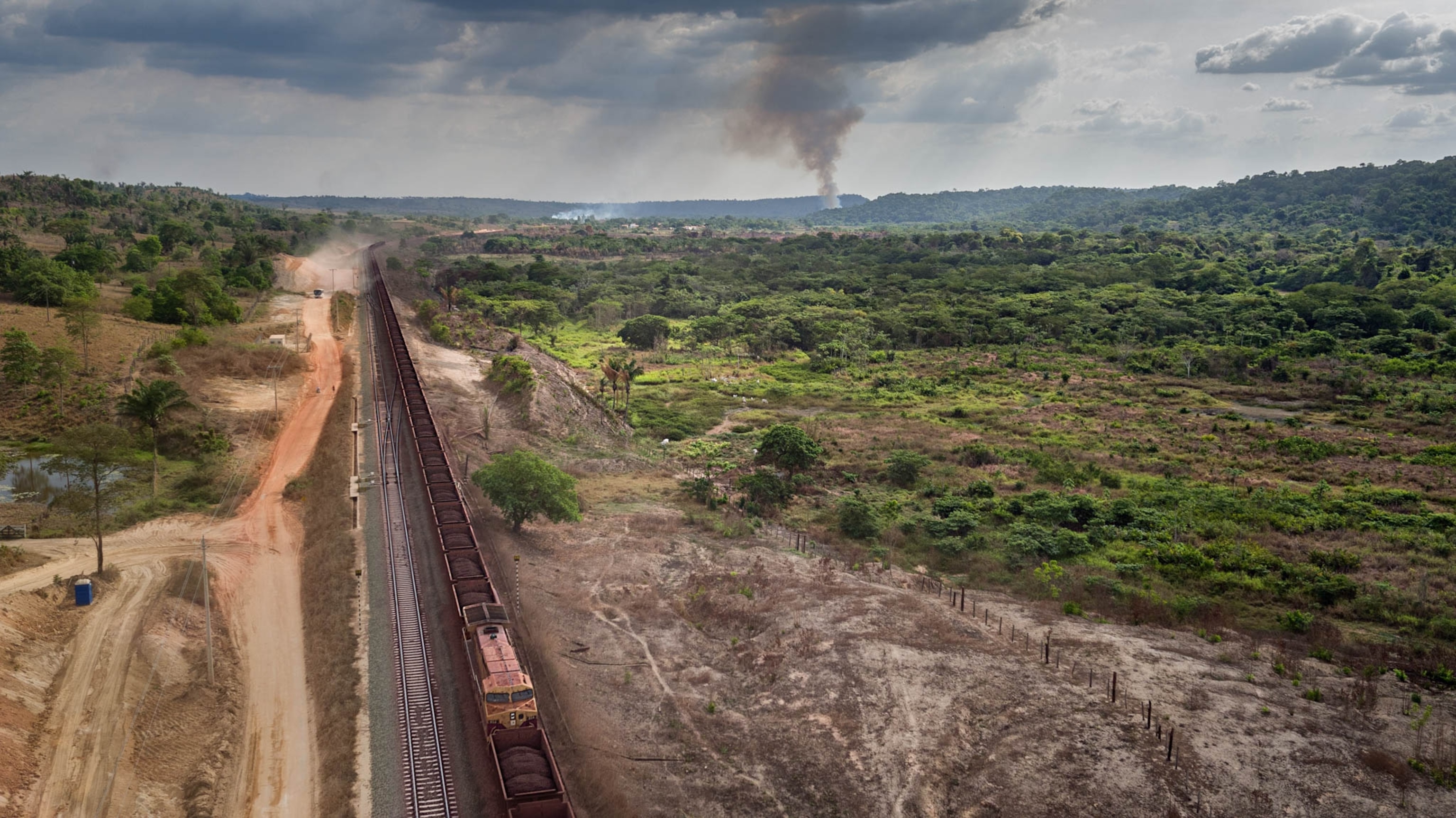 a train and train tracks in a forest
