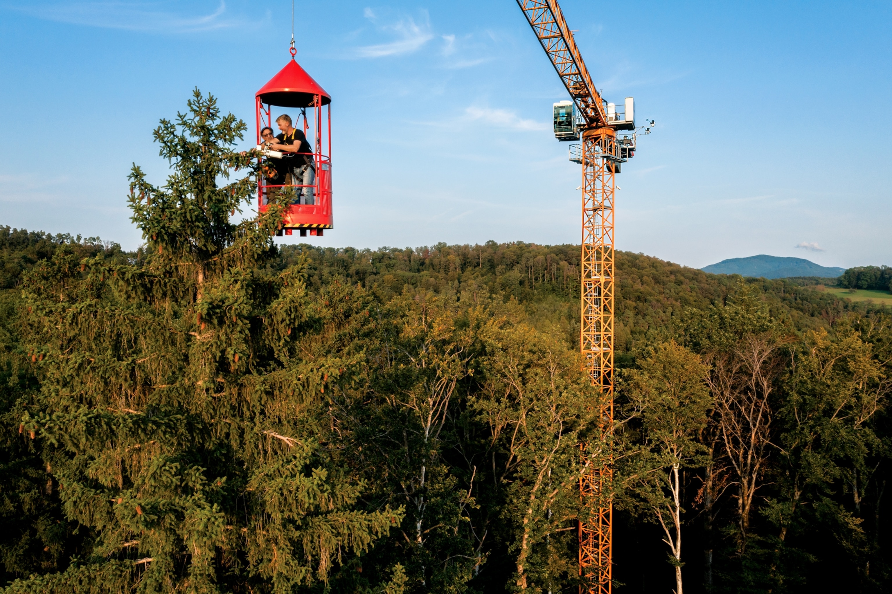 Picture of researchers are hovering from crane high above forest.
