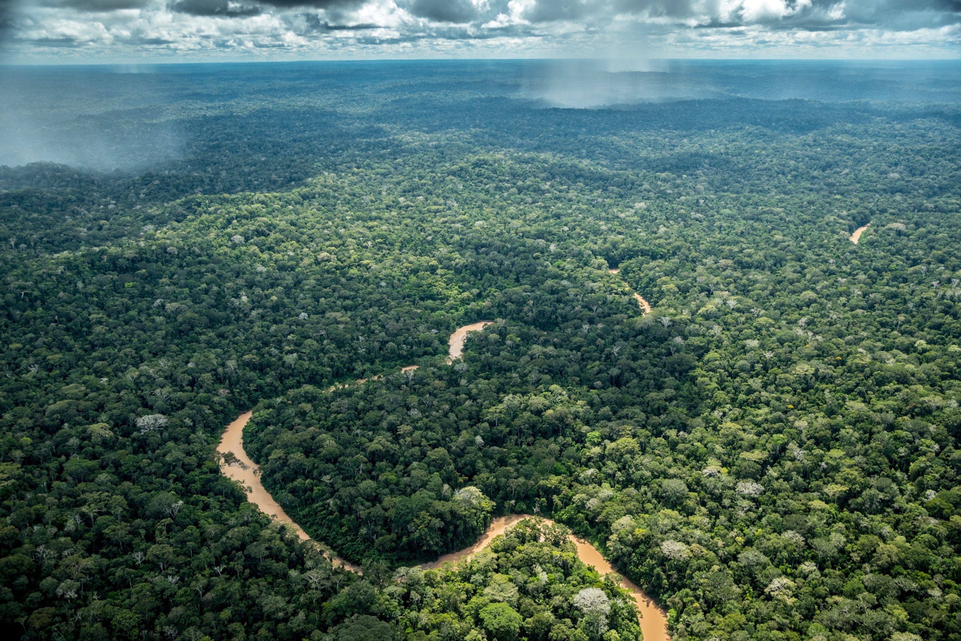 a silty river flowing through a lush forest from an aerial view