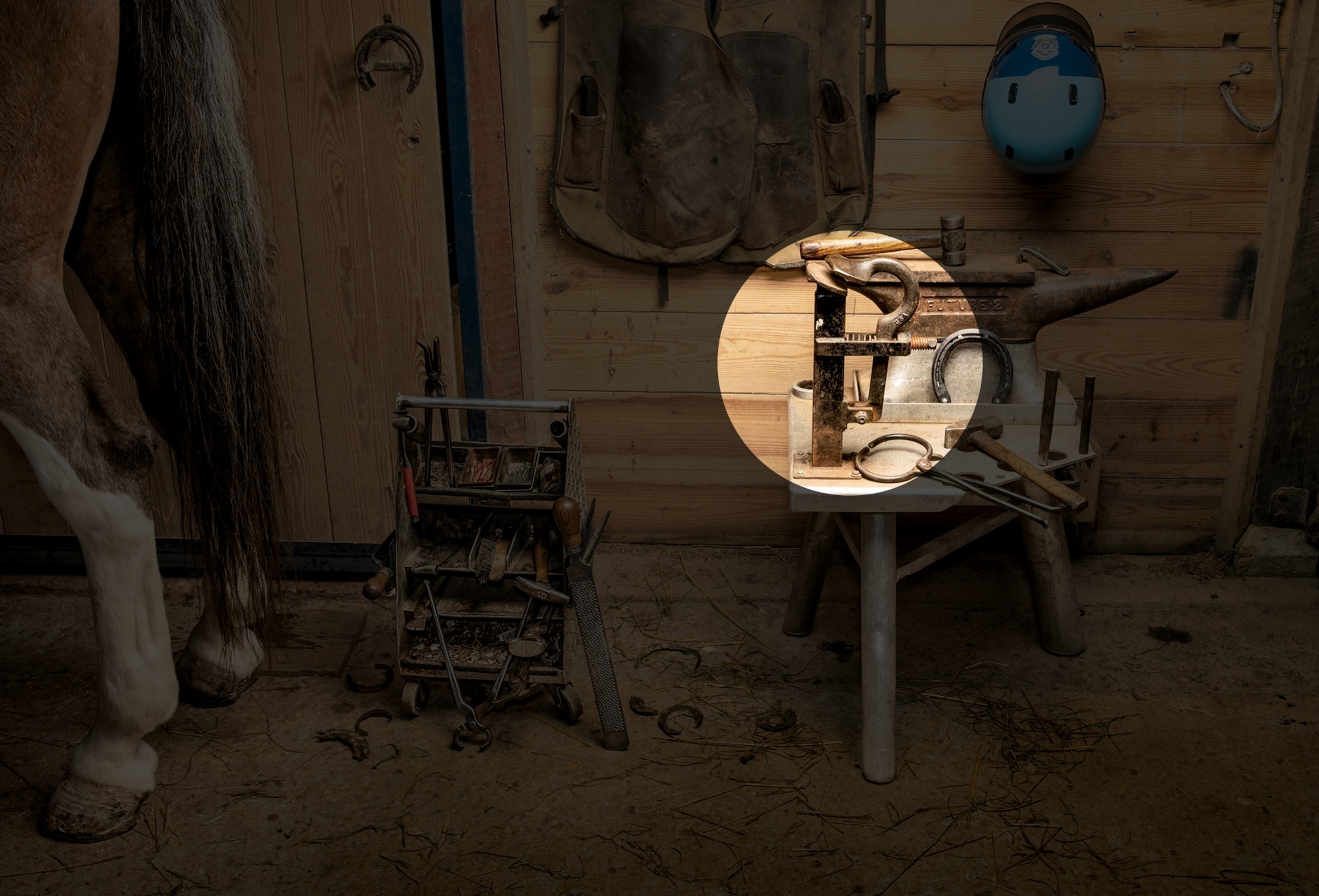horeshoe toolkit farrier