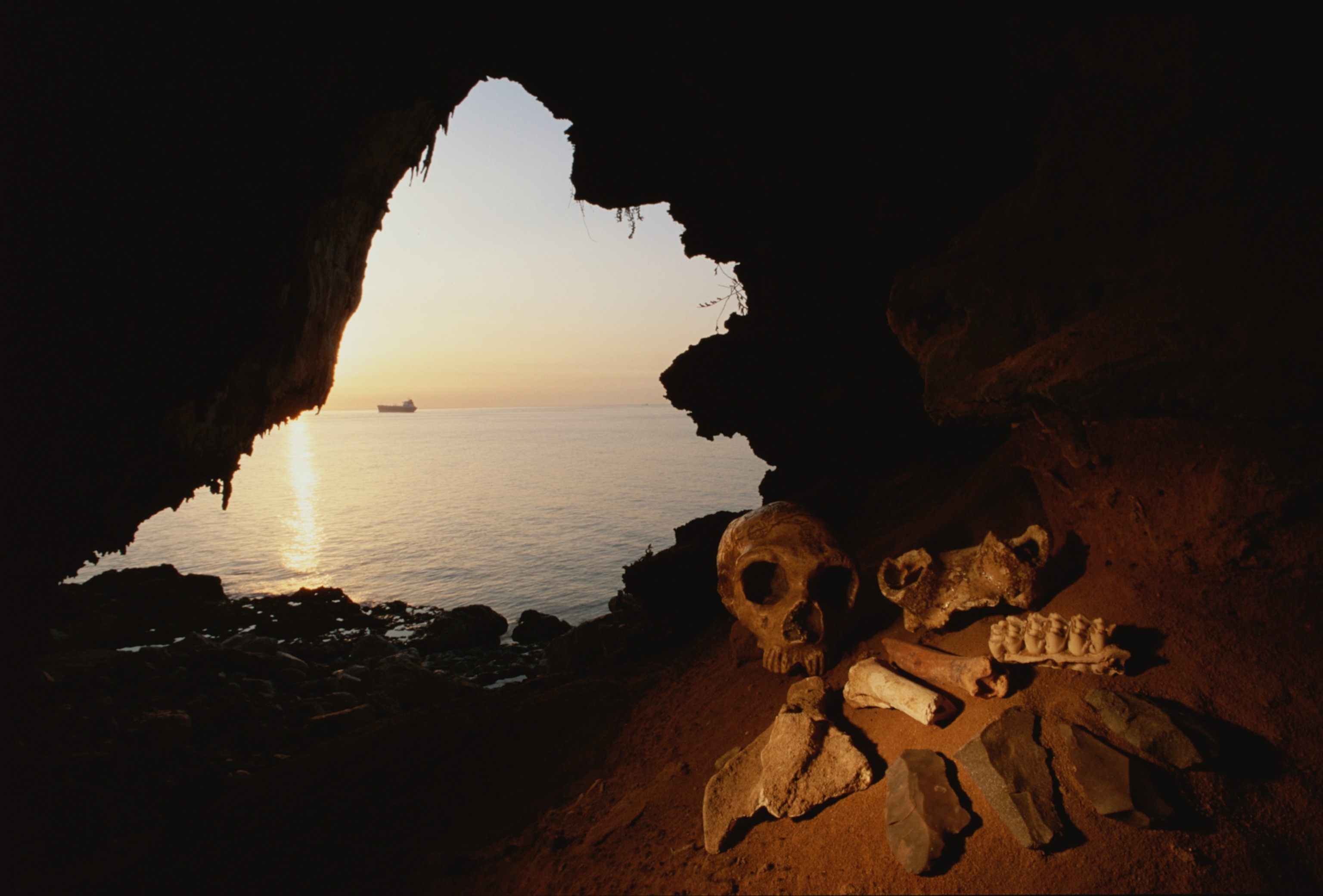 Neanderthal remains, including a skull and other bones, rest in the light with the cave entrance seen in the background.