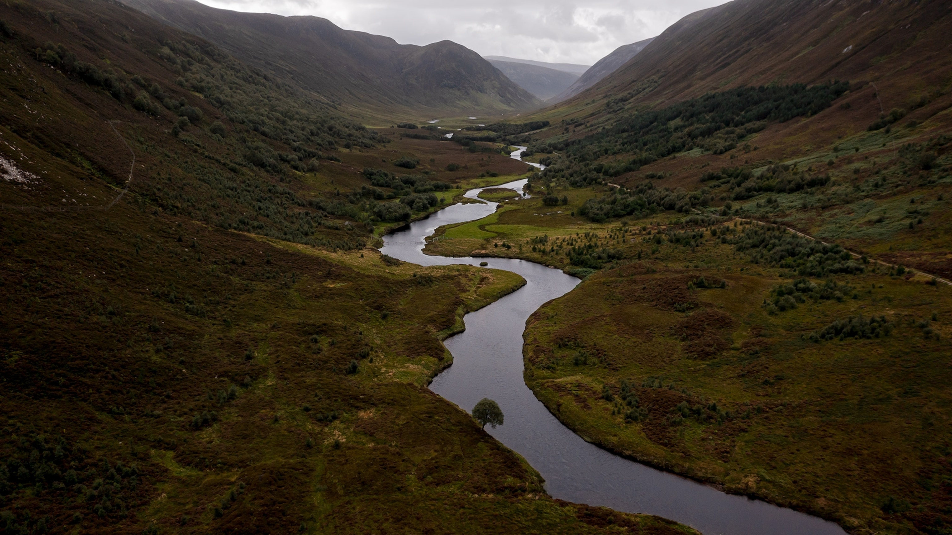Overlooking the view on the Alladale Reserve, Sutherland Northern Scotland, for The MM9964 Rewilding story