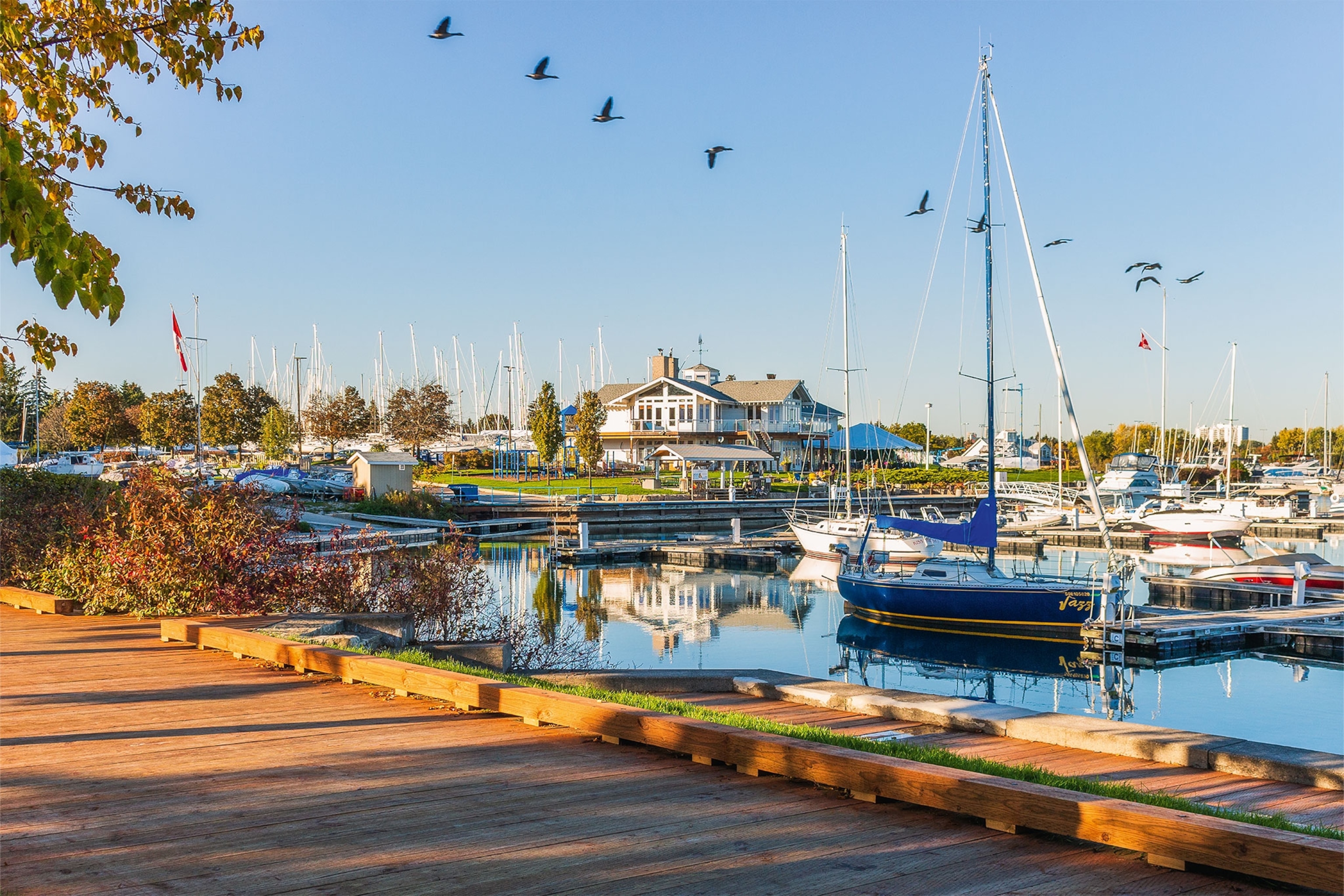 Beside the shoreline with boats in the harbor