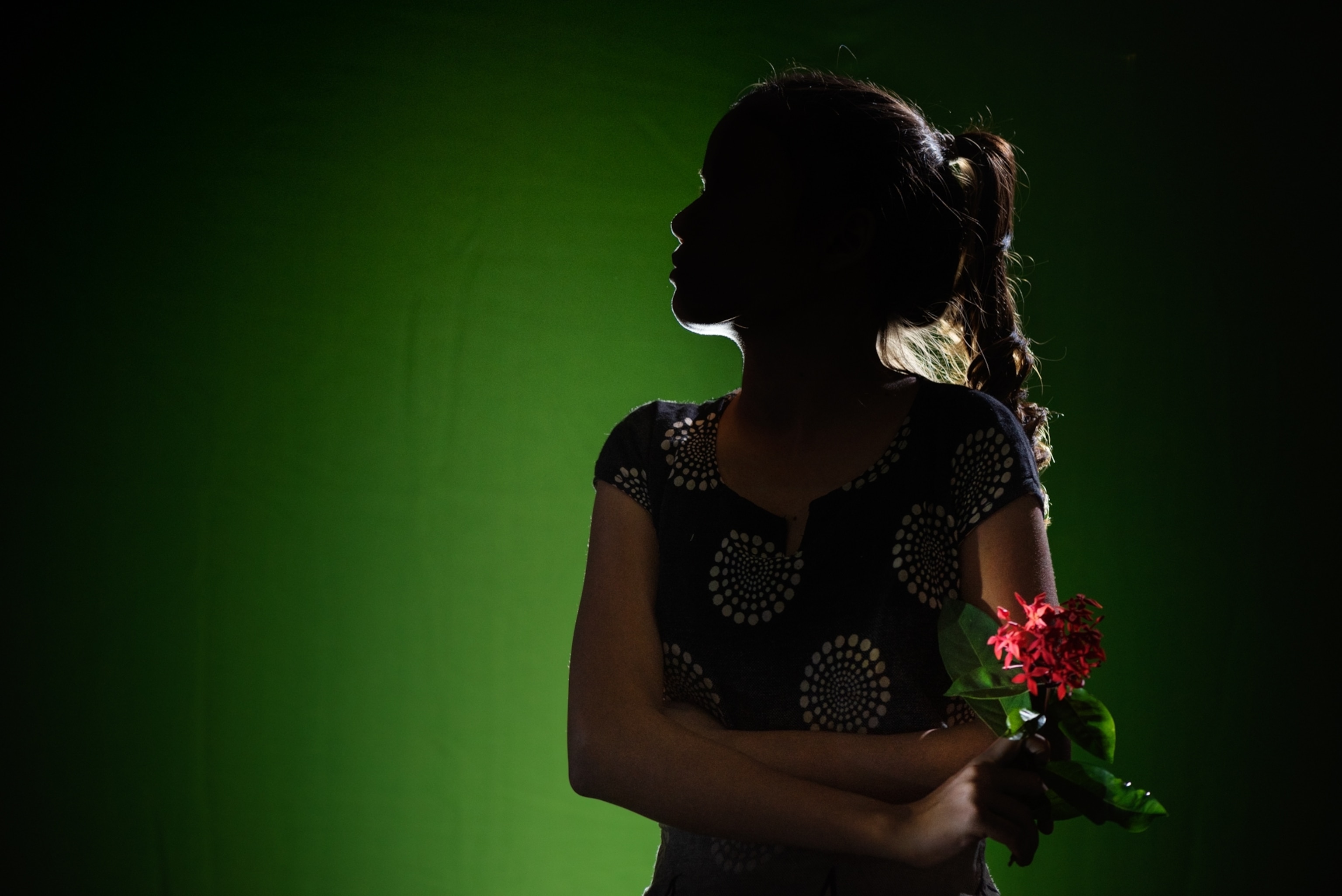 a silhouette of a young girl holding a red flower against a green background