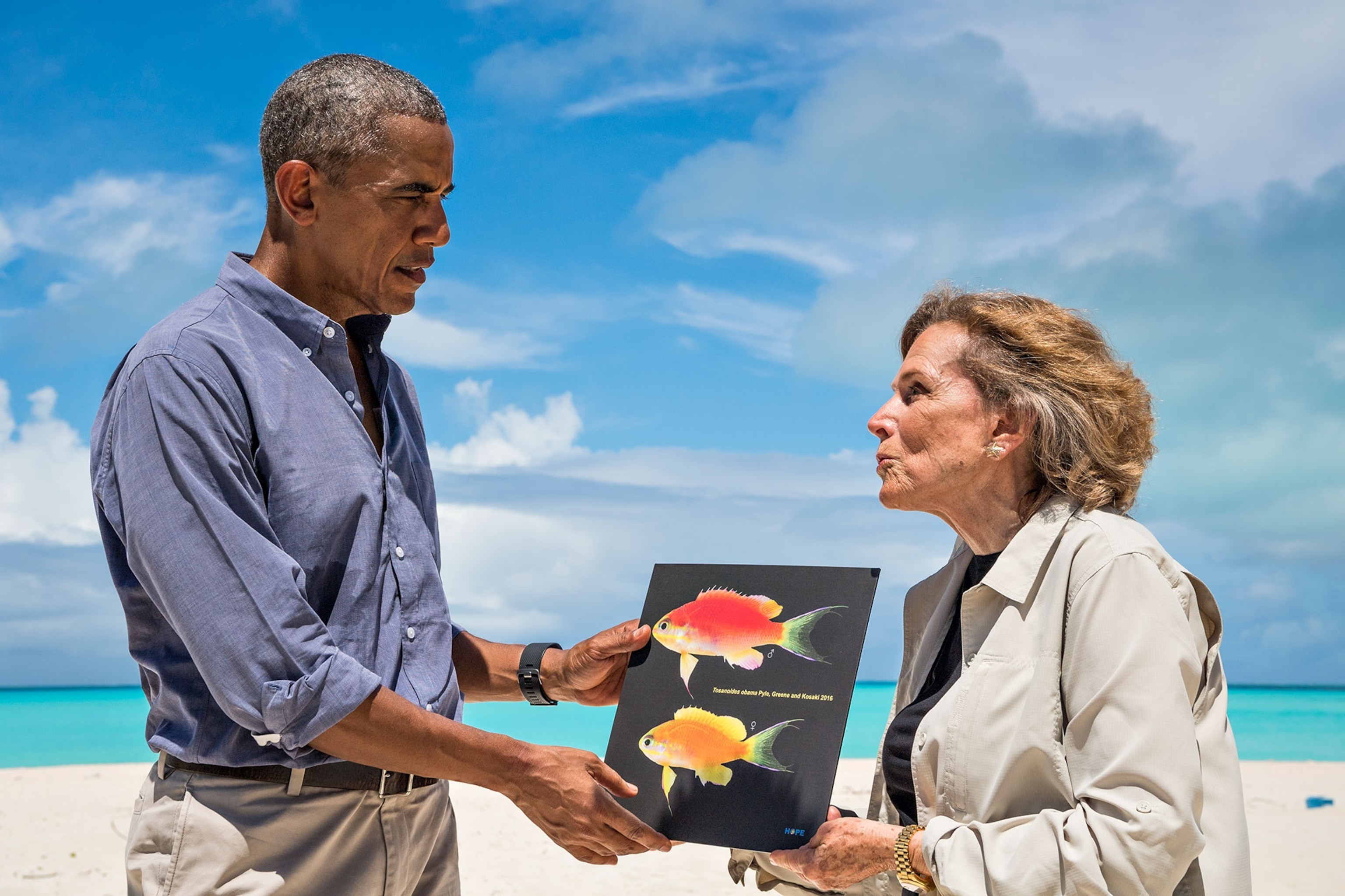 Sylvia Earle, National Geographic Explorer