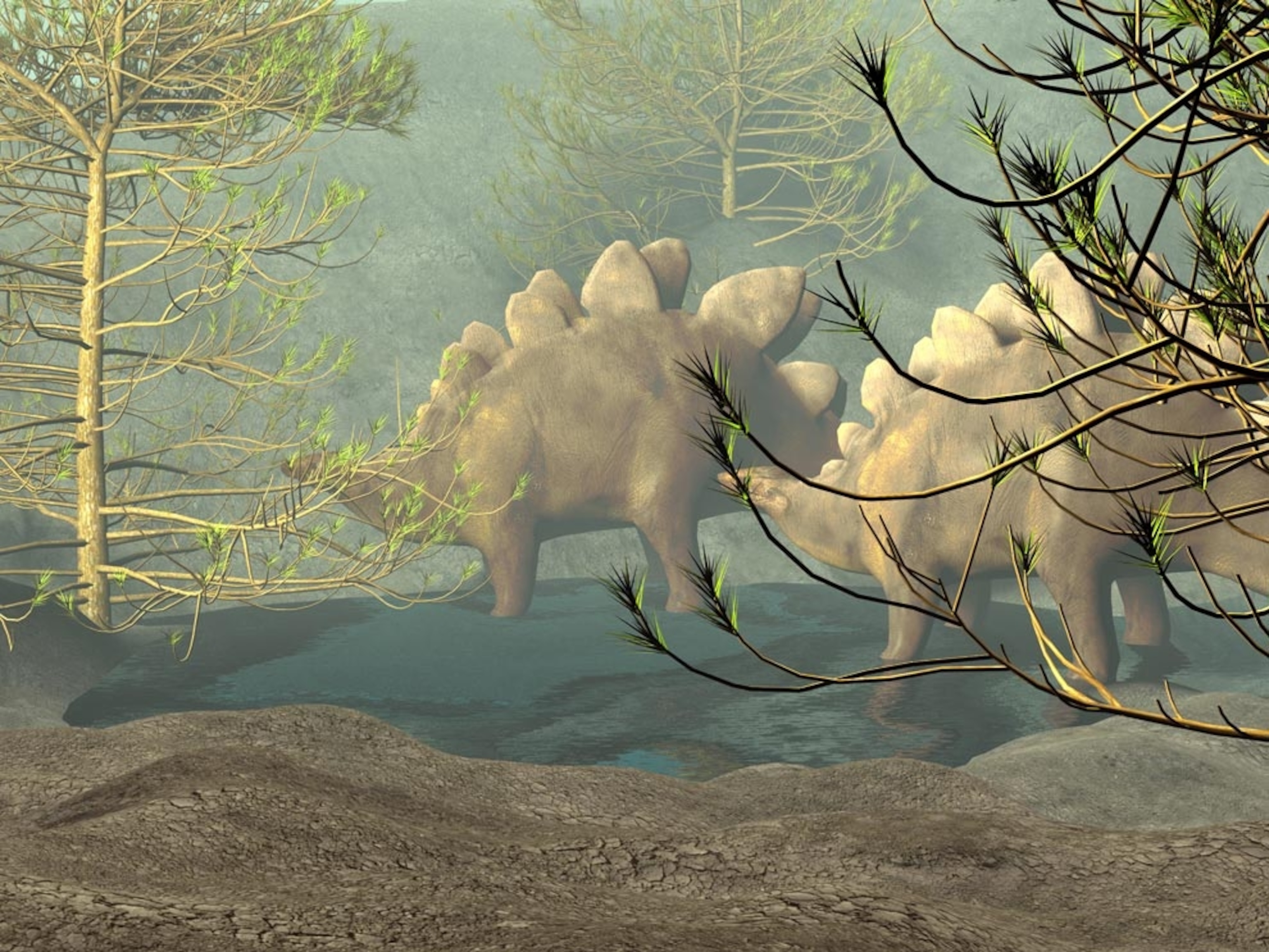 Illustration: Stegosaurs in a forest
