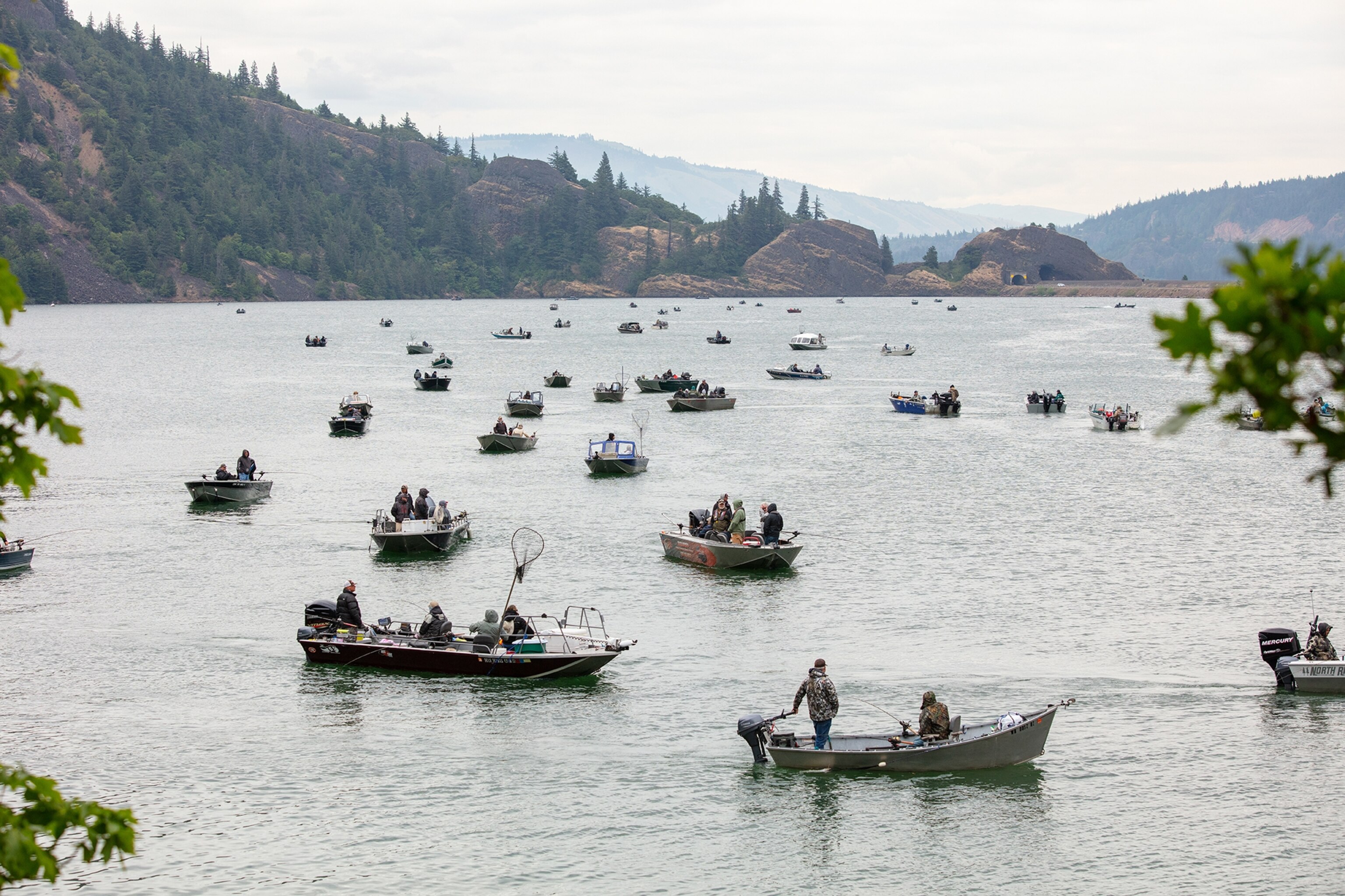 boats fishing for salmon on Drano Lake, Washington