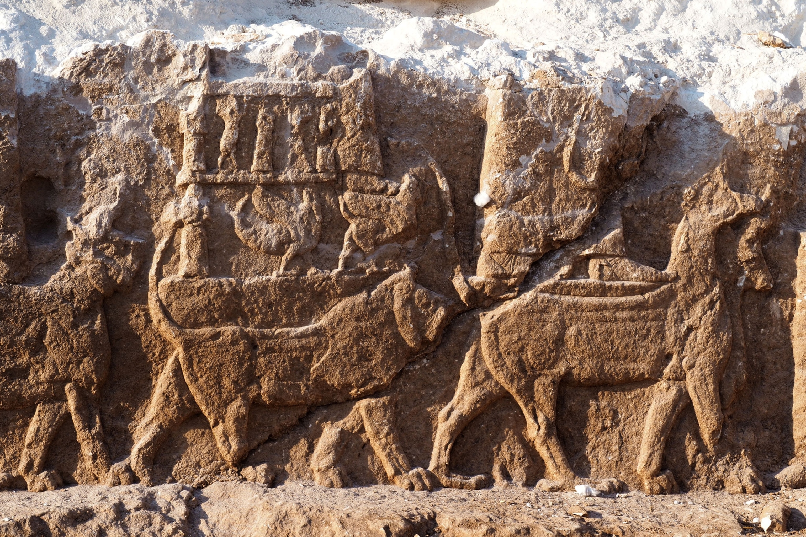 a relief Assyrian sculpture