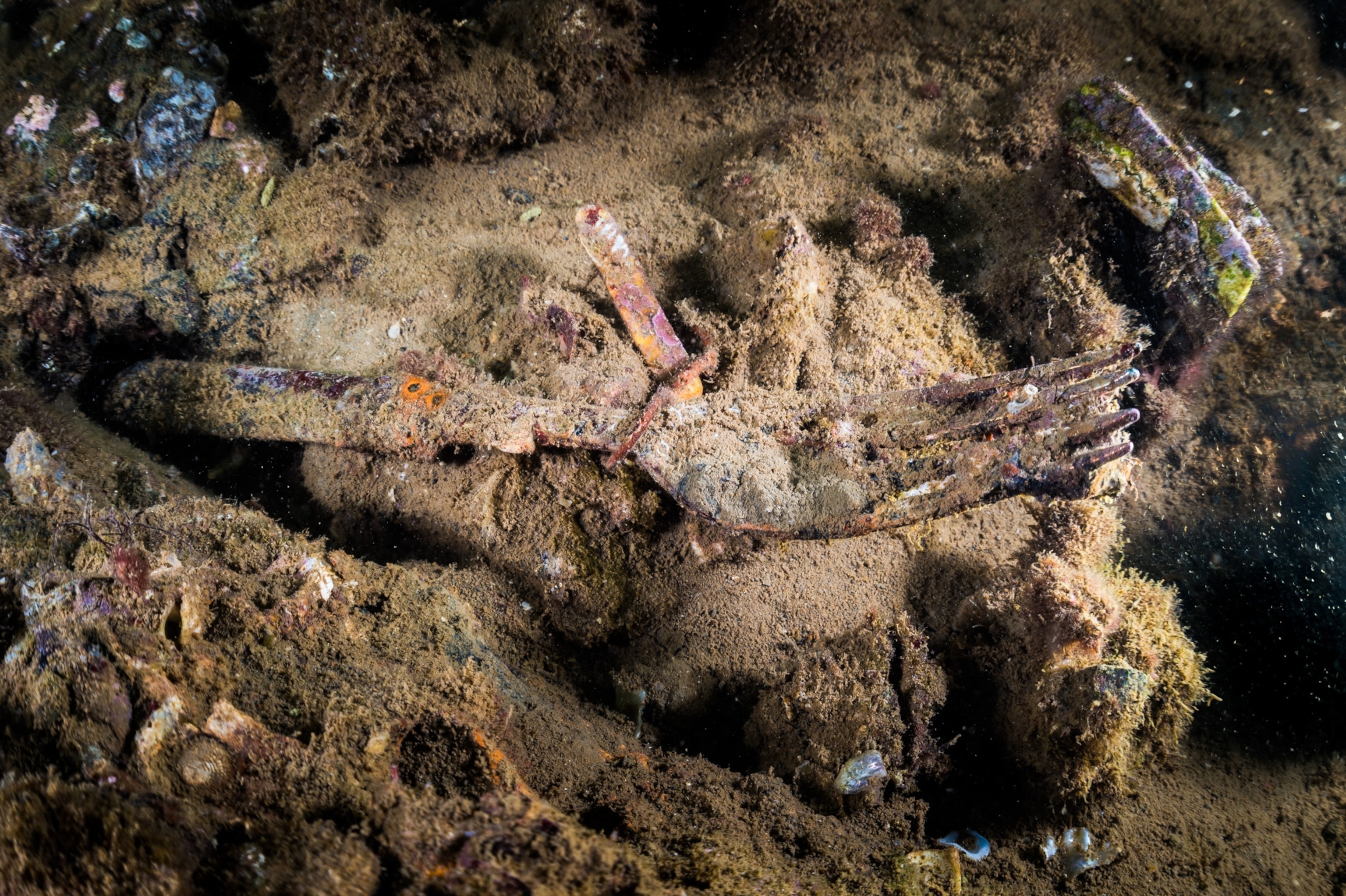 rusted fork underwater