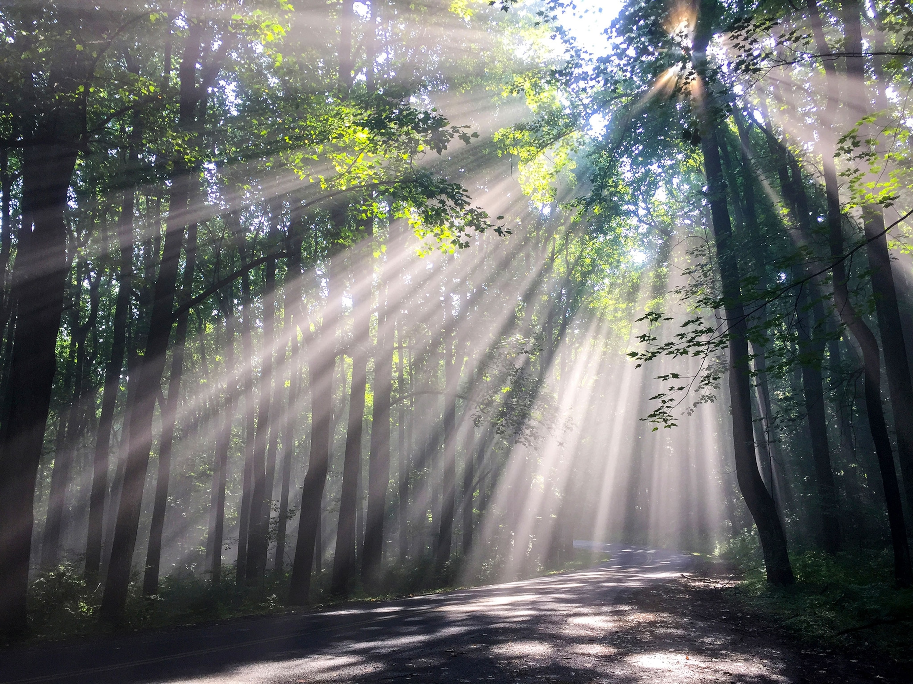 Skyline Drive in Virginia