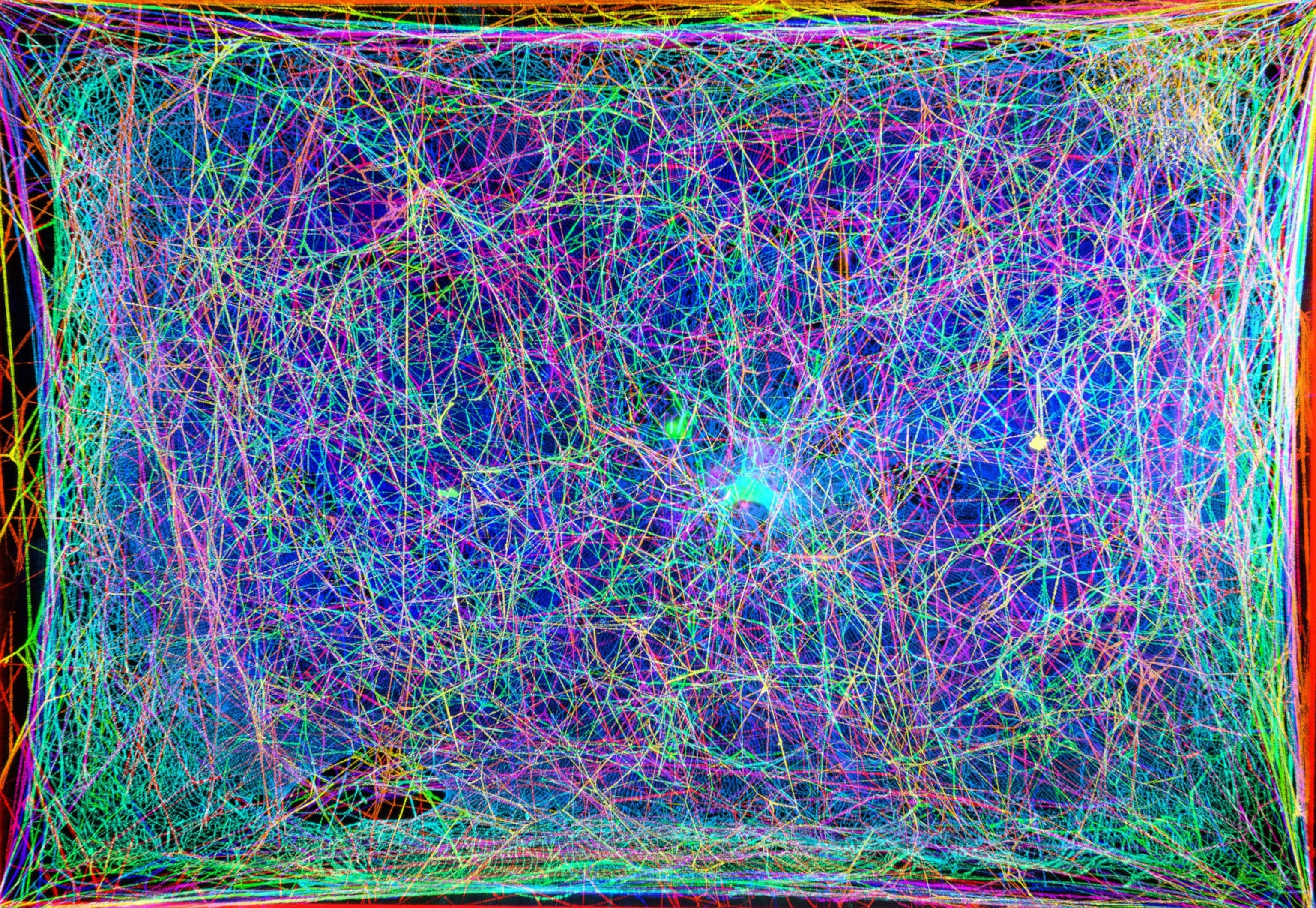 Picture of laser imaging based on cobweb cross sections.