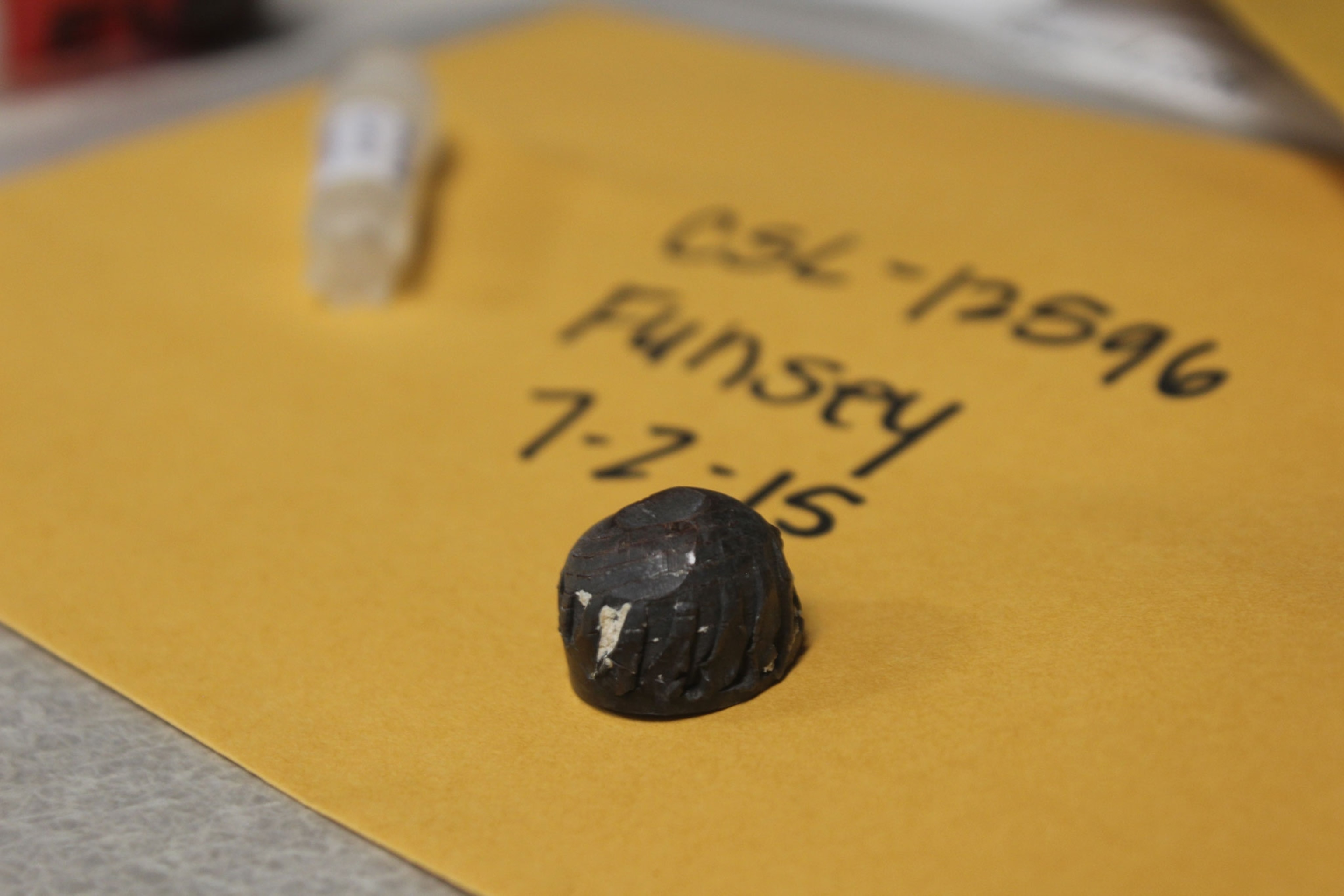 a bullet fragment