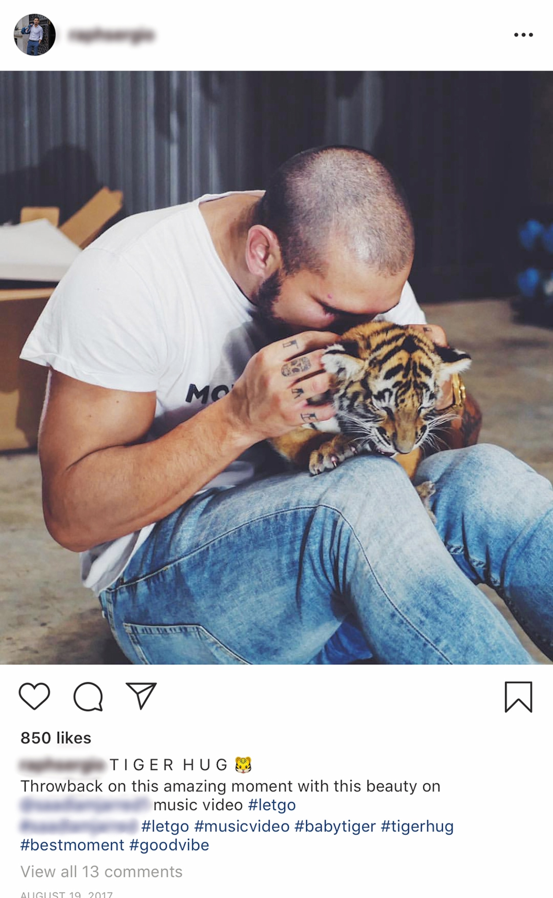 a person engaging with a tiger for tourism