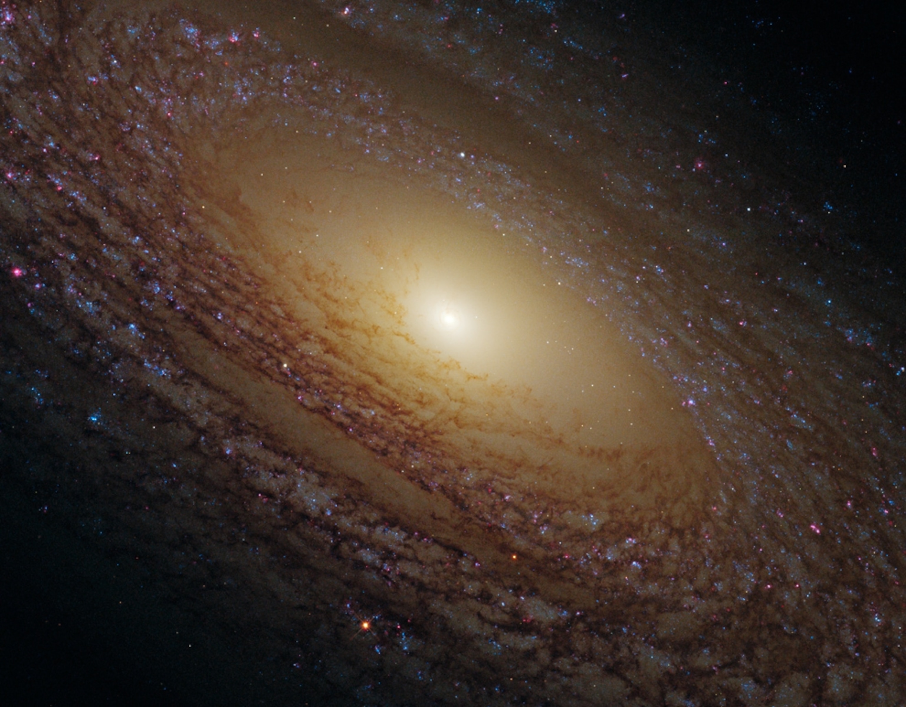 Ursa Major spiral galaxy