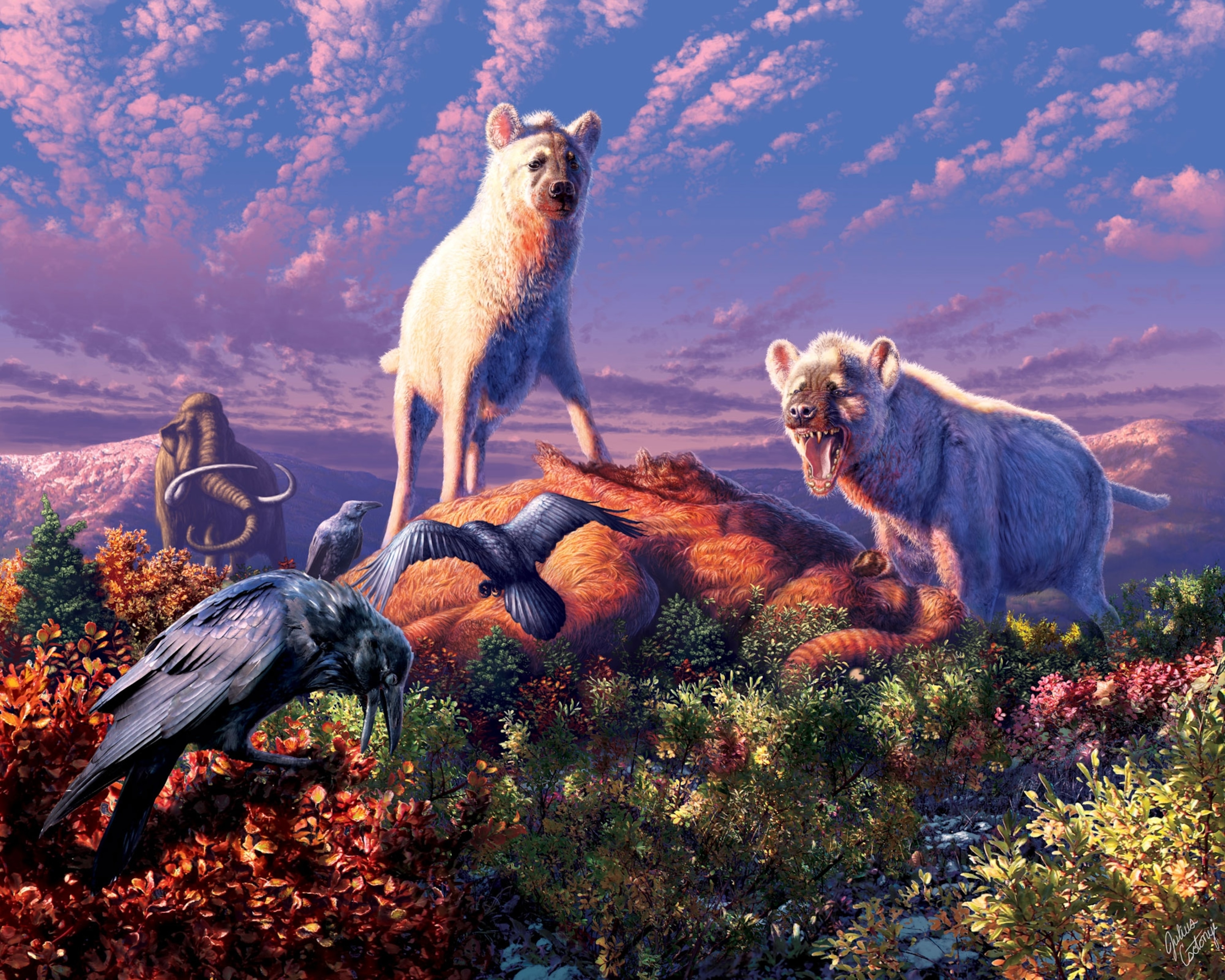 Arctic Hyenas.