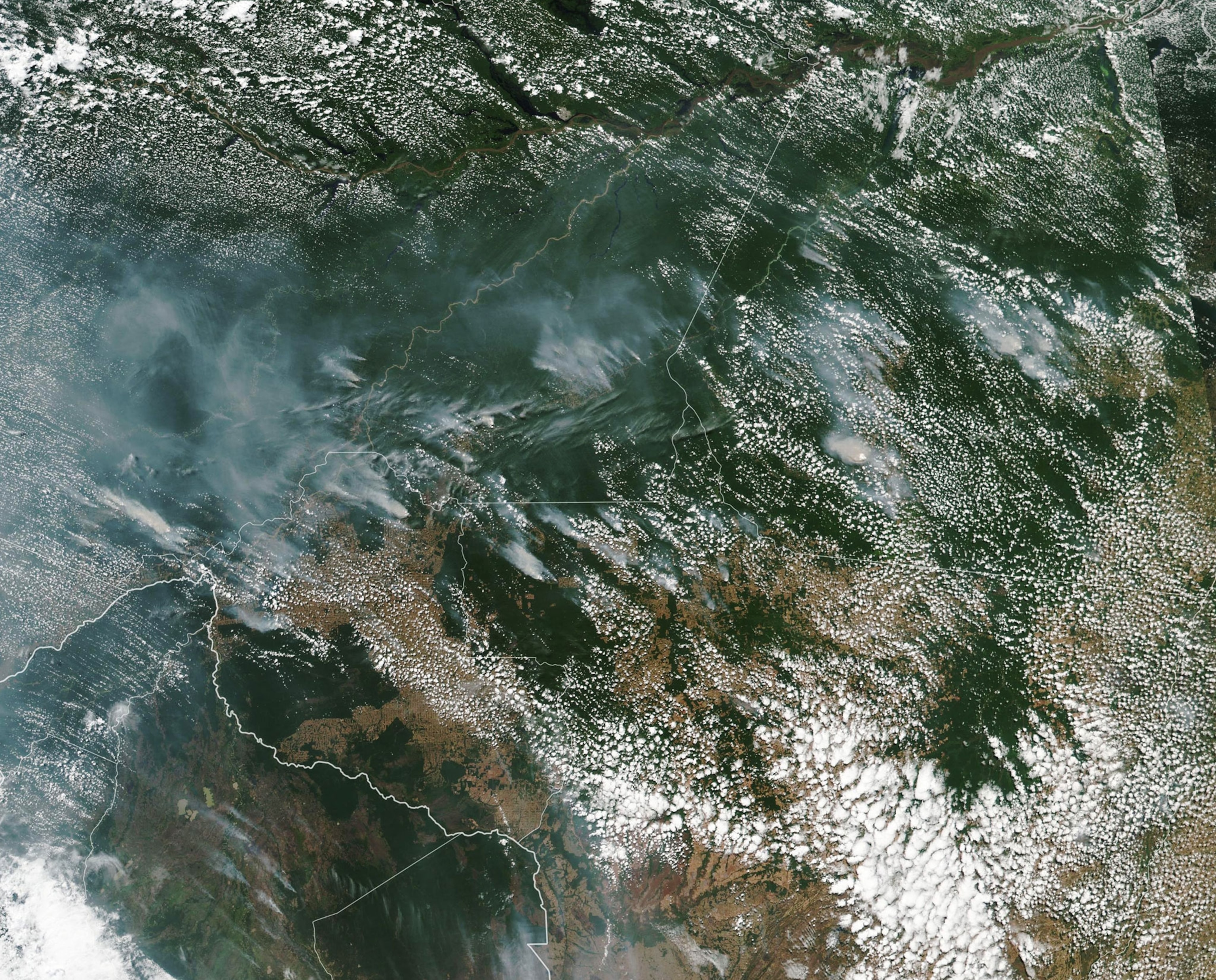 Amazon forest fire