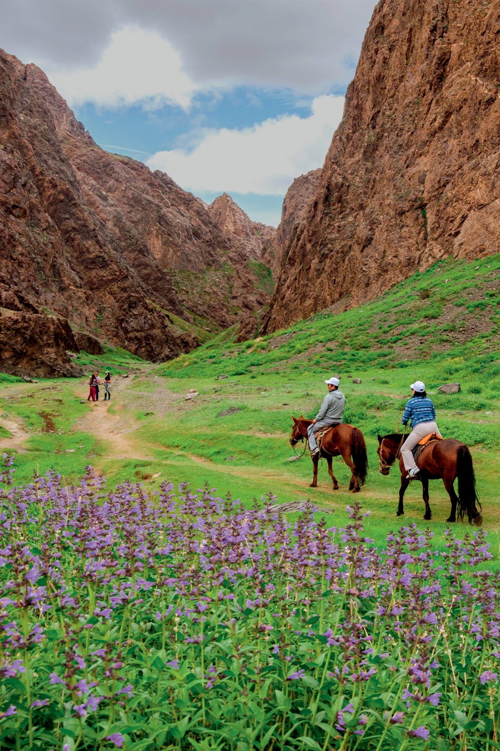 Horsetrekking