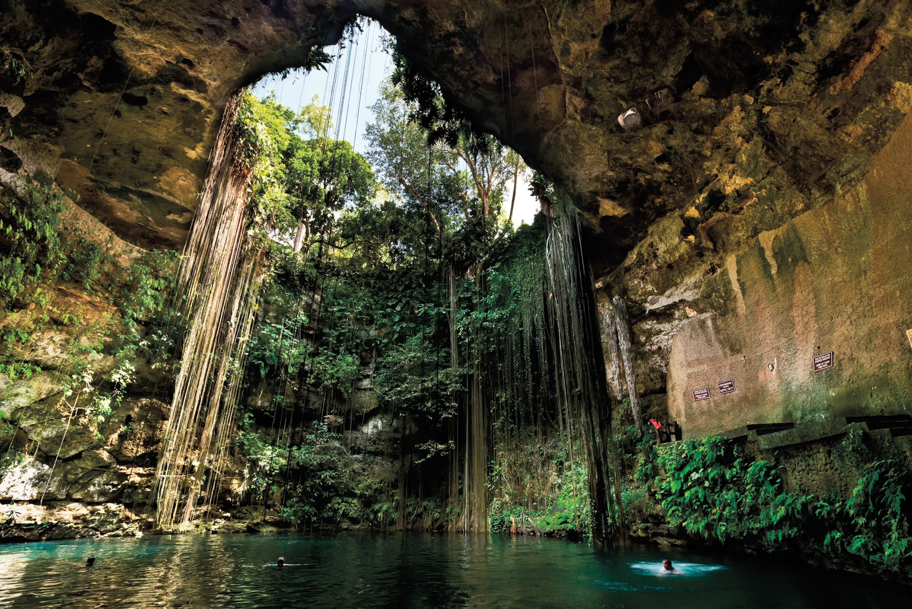 Ik-Kil Cenote in the Yucatán Peninsula, Mexico