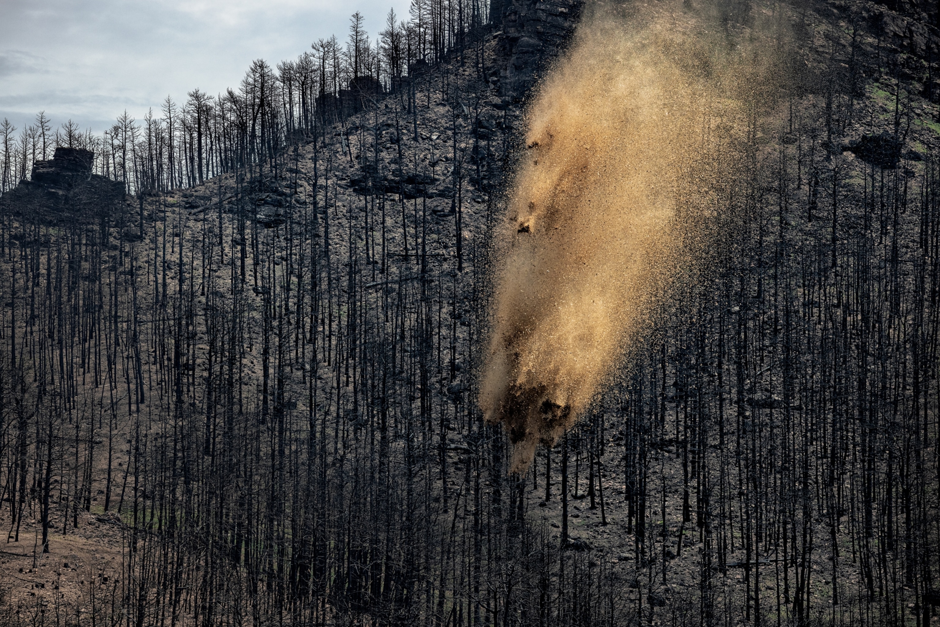Picture of helicopter dispersing mulch over burnt forest.