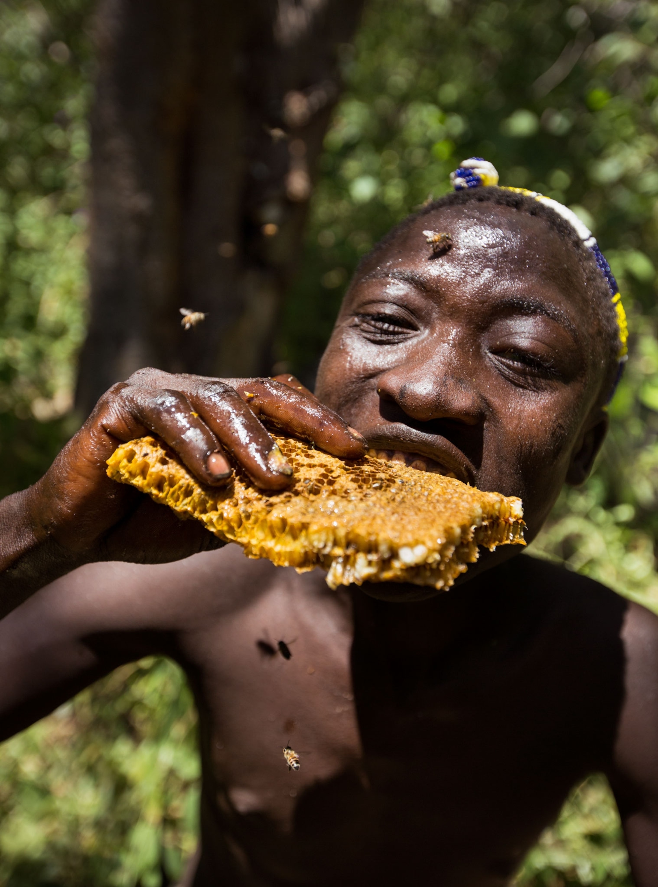 a person eating honeycomb