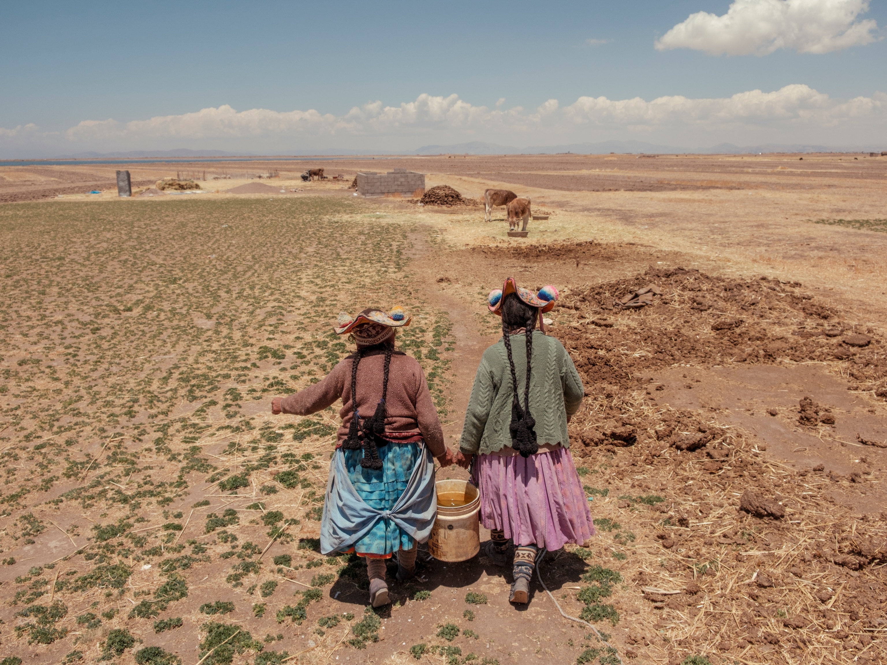 People living near the community of Jochi in the Coata district in Peru. Despite knowing that the river is contaminated, they still use water from a canal that comes from the river. Initially, they use it to give their livestock water, but often, due to lack of another source, they end up drinking it themselves. The Coata River flows into the lake and is one of the main sources of pollution, as it carries untreated water from the city of Juliaca, as well as tailings discarded by mining activity upstream.