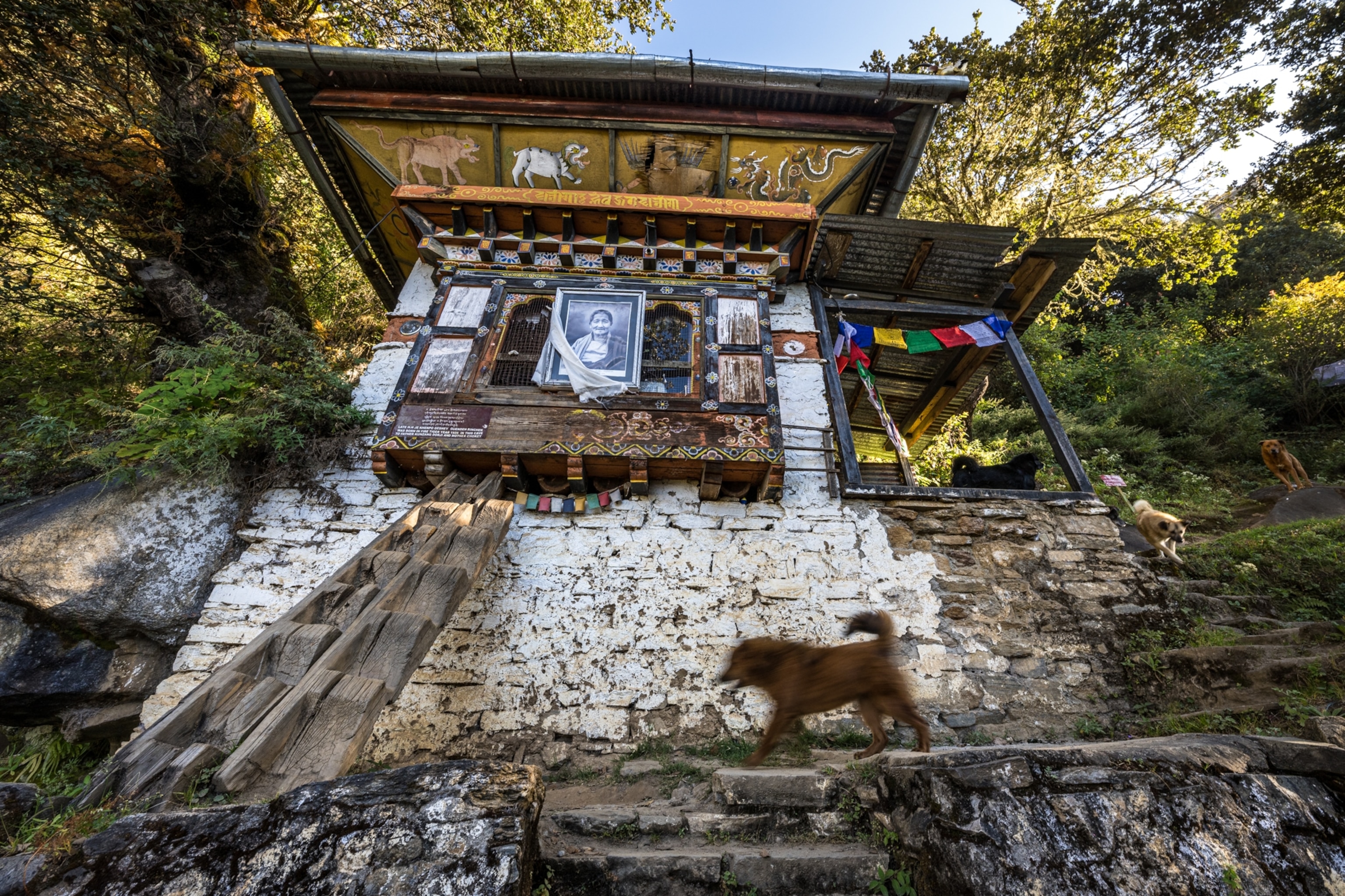 One of Bhutan’s ubiquitous stray dogs runs across the facade of a Buddhist temple outside Paro.