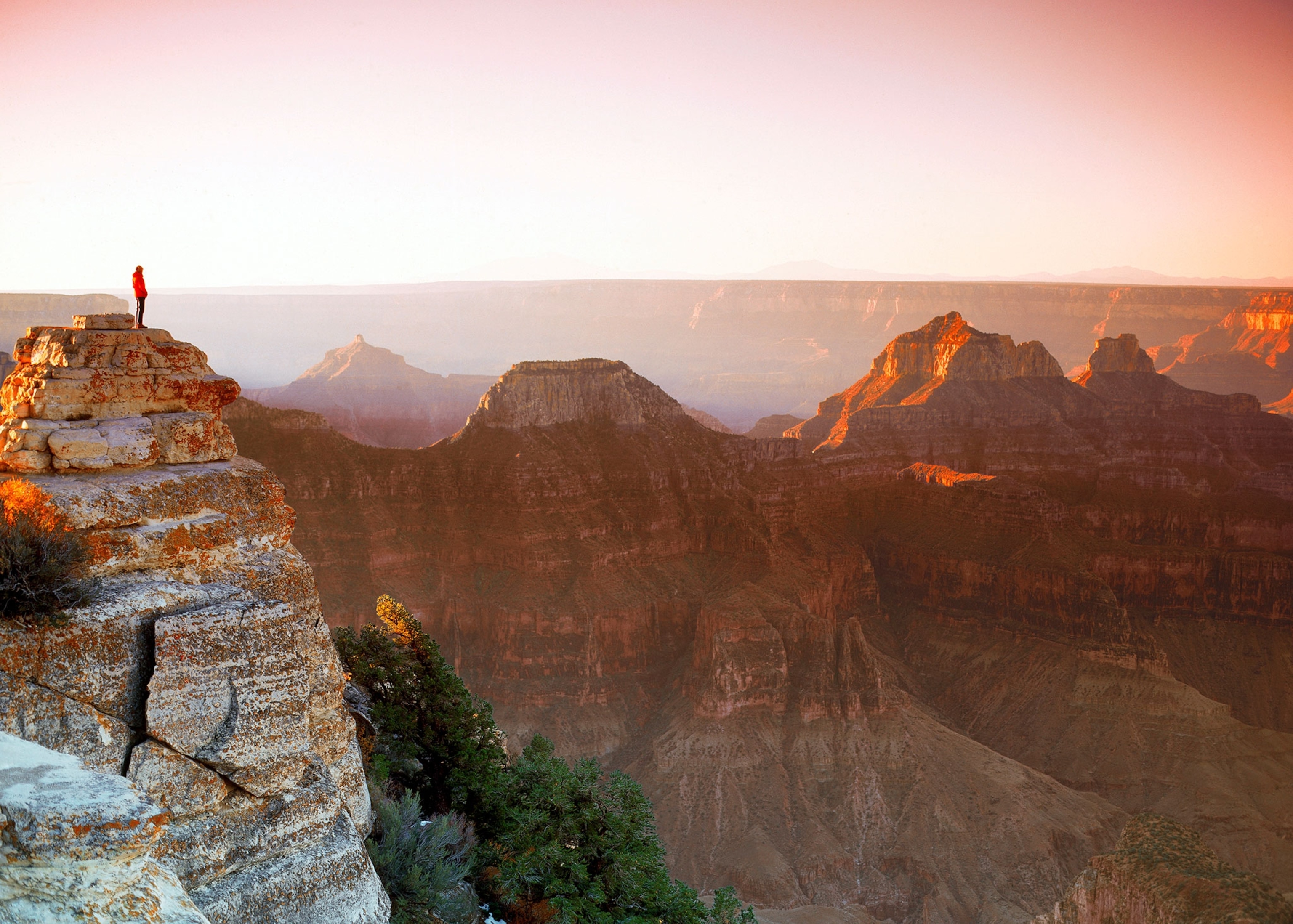 the Grand Canyon, North Rim