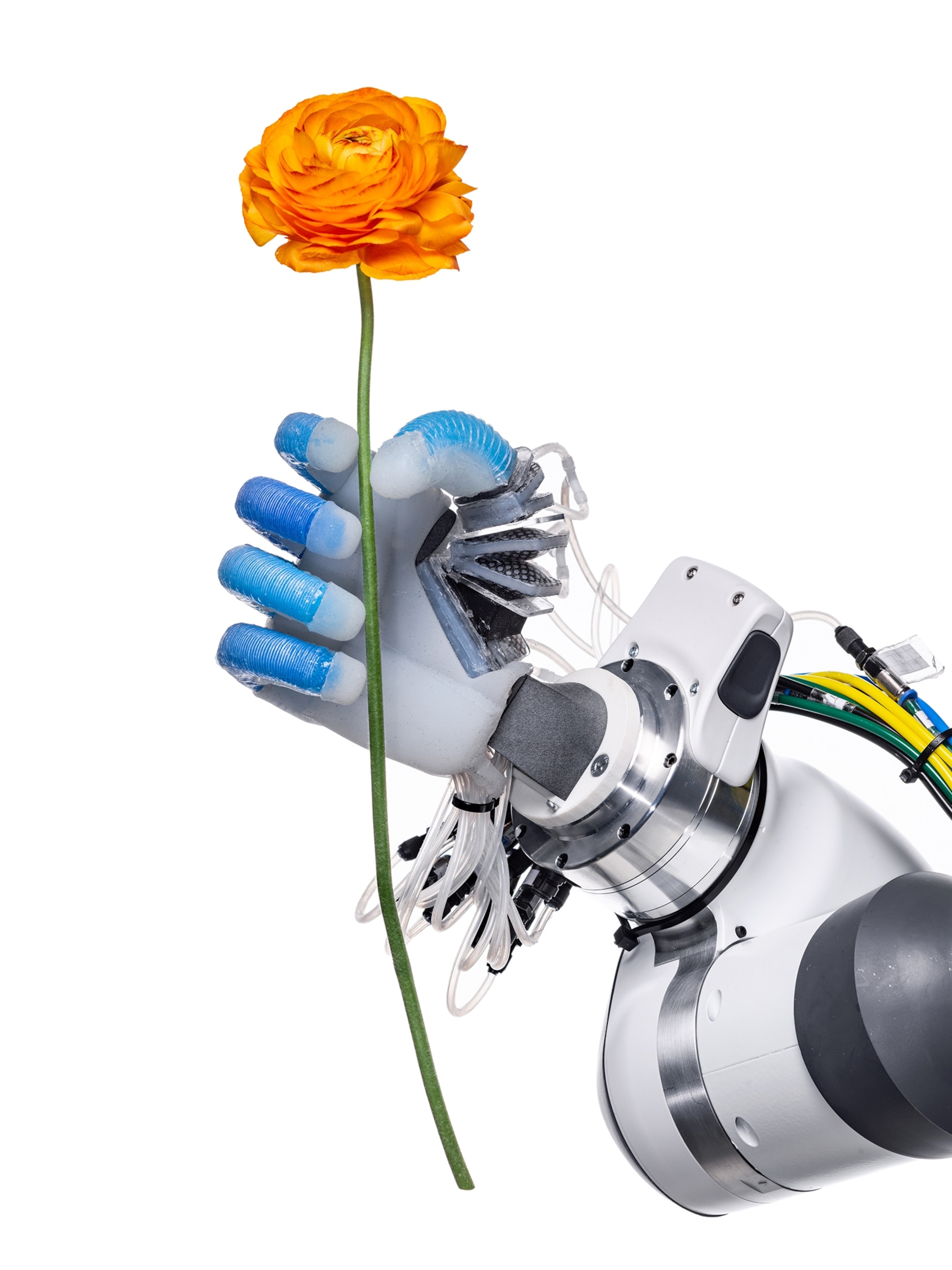 Robot hand holding flower.