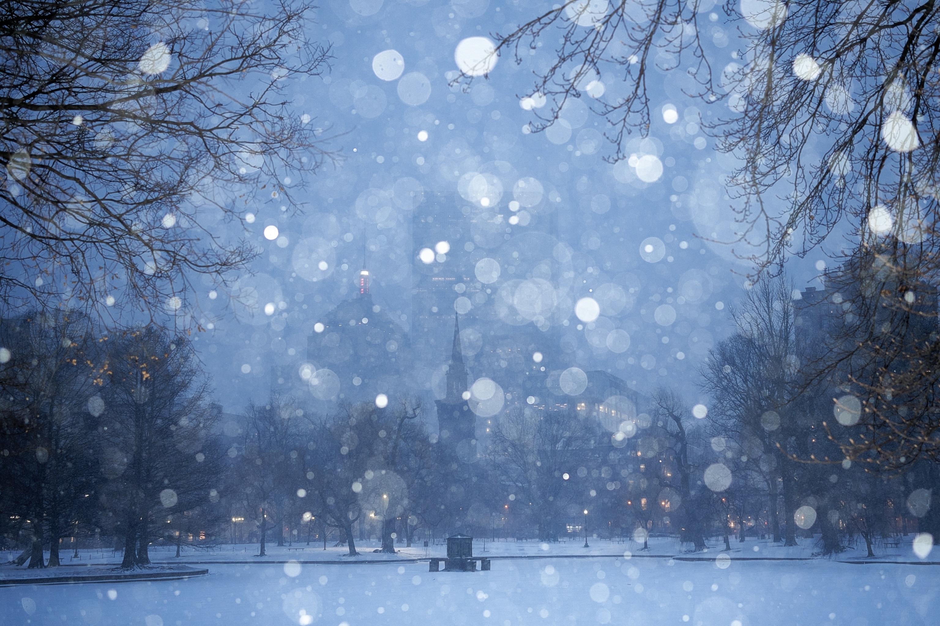 Heavy snowfall begins in the early morning at Boston Common.