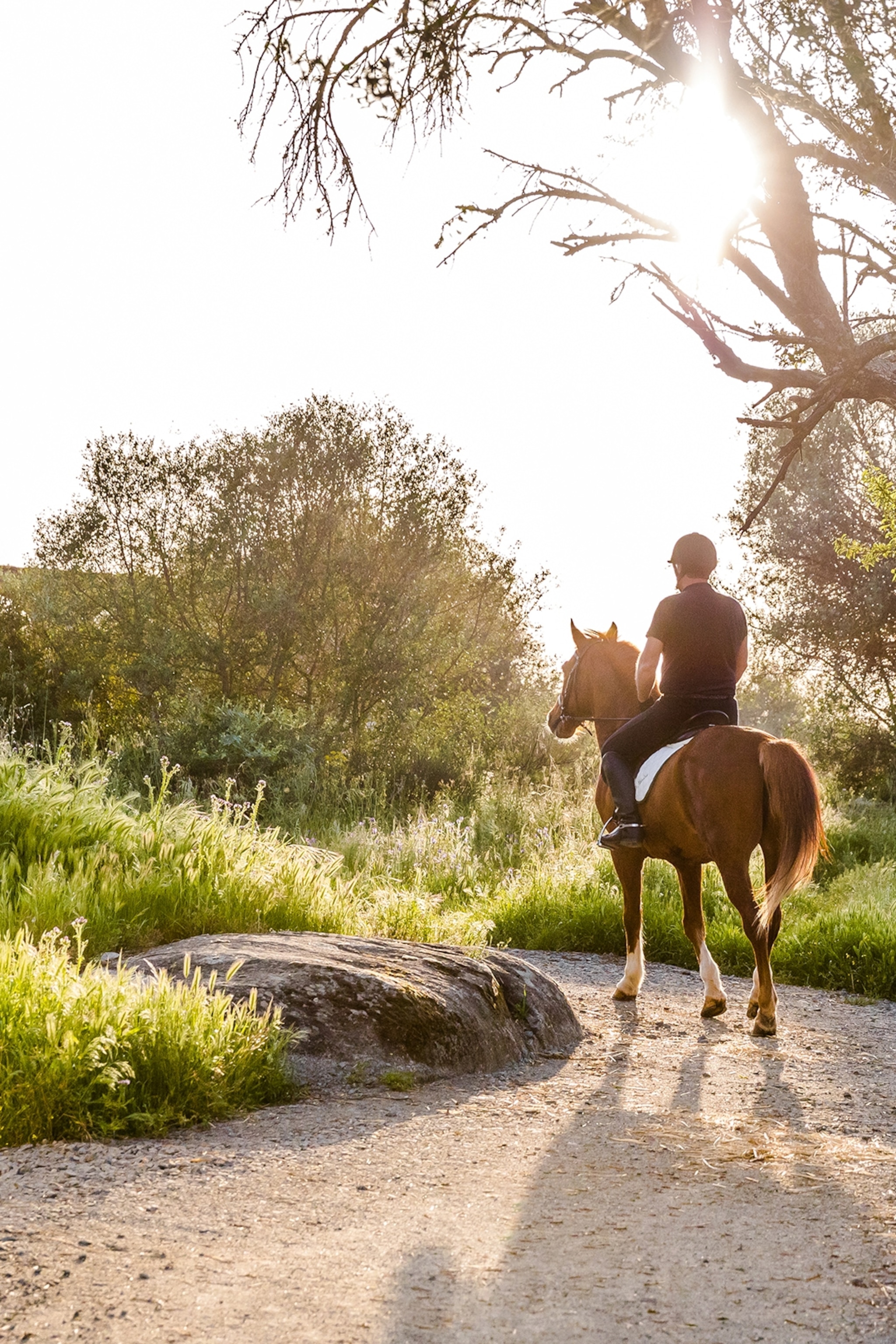 A man riding a horse down a field path at sunset.