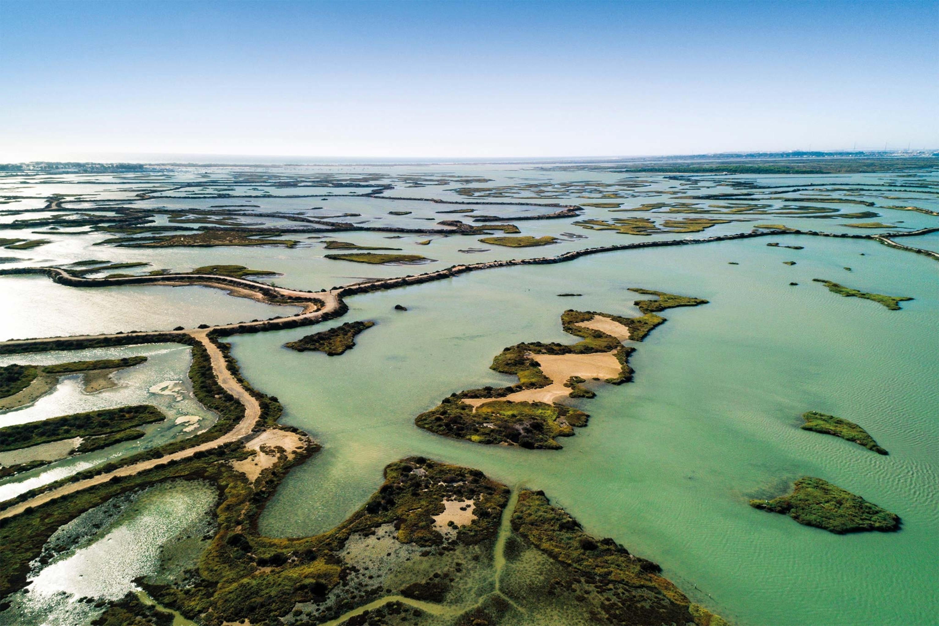 An aerial view of wetlands