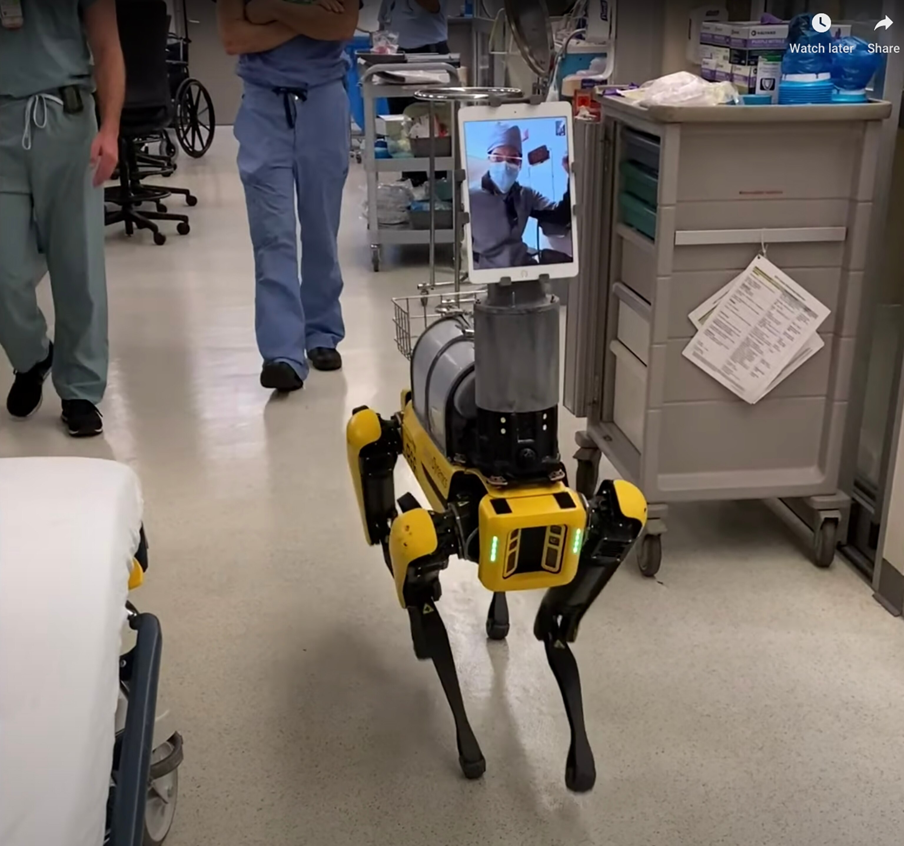 a robot on four legs with a computer screen with human face on it.