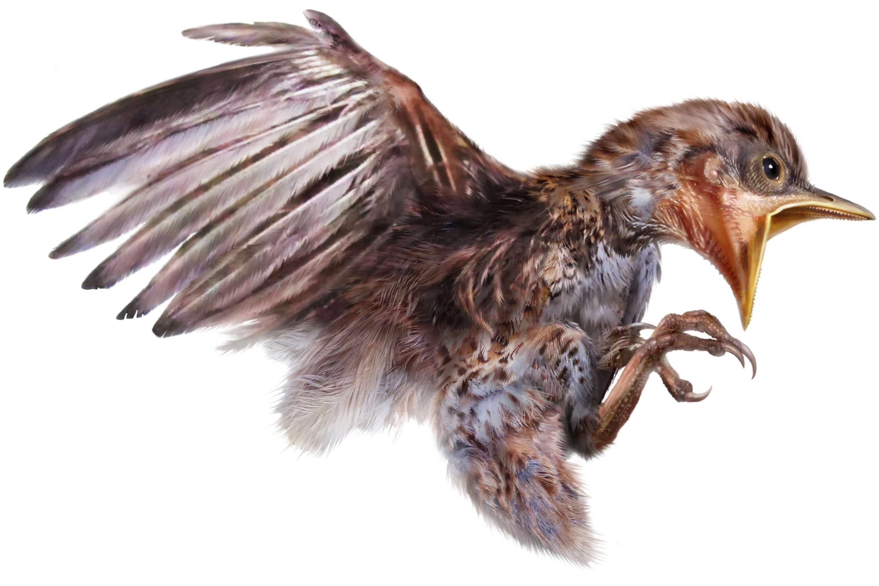 reconstruction of fossilized bird