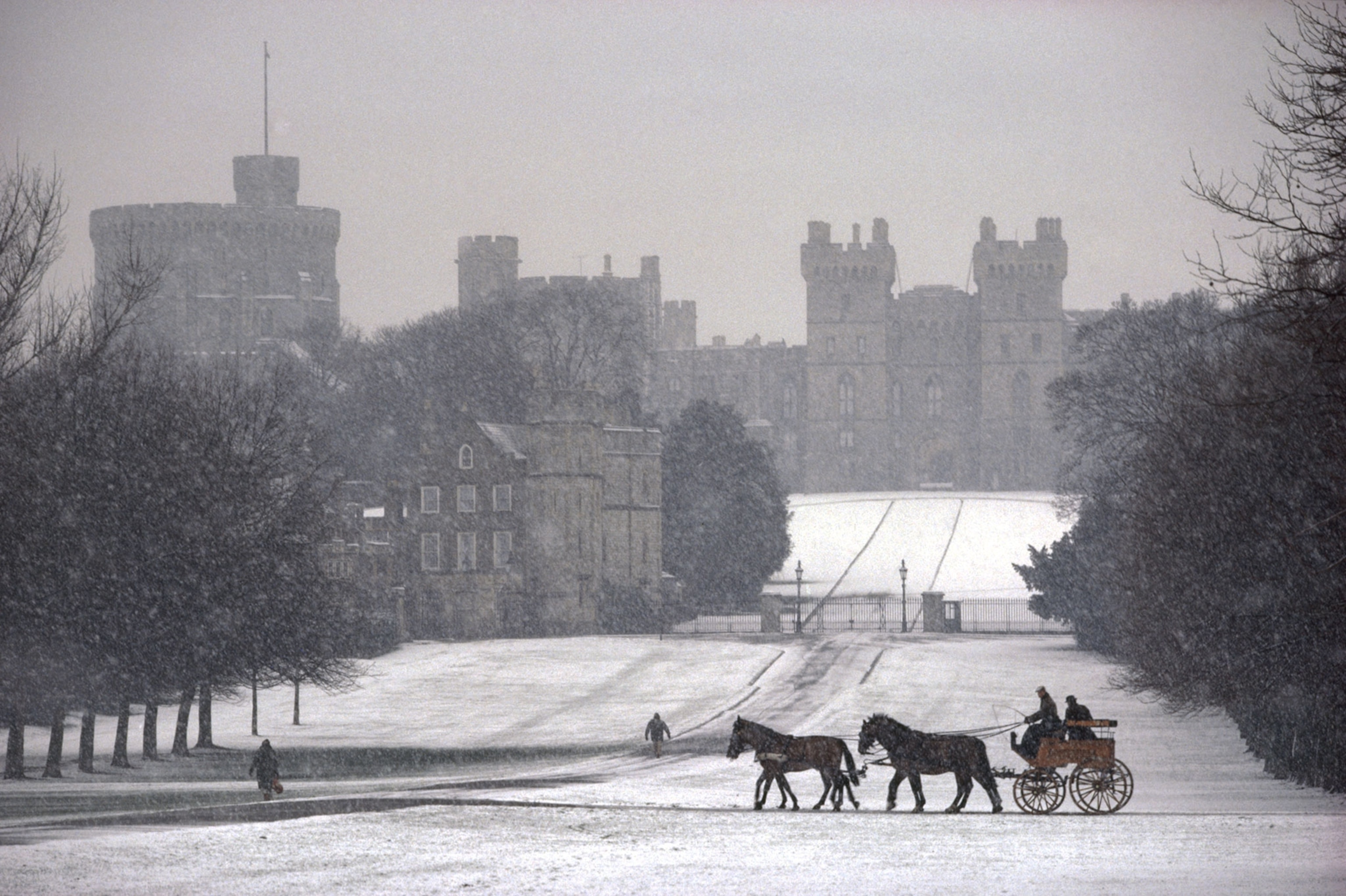 Prince Philip driving a coach at Windsor Castle