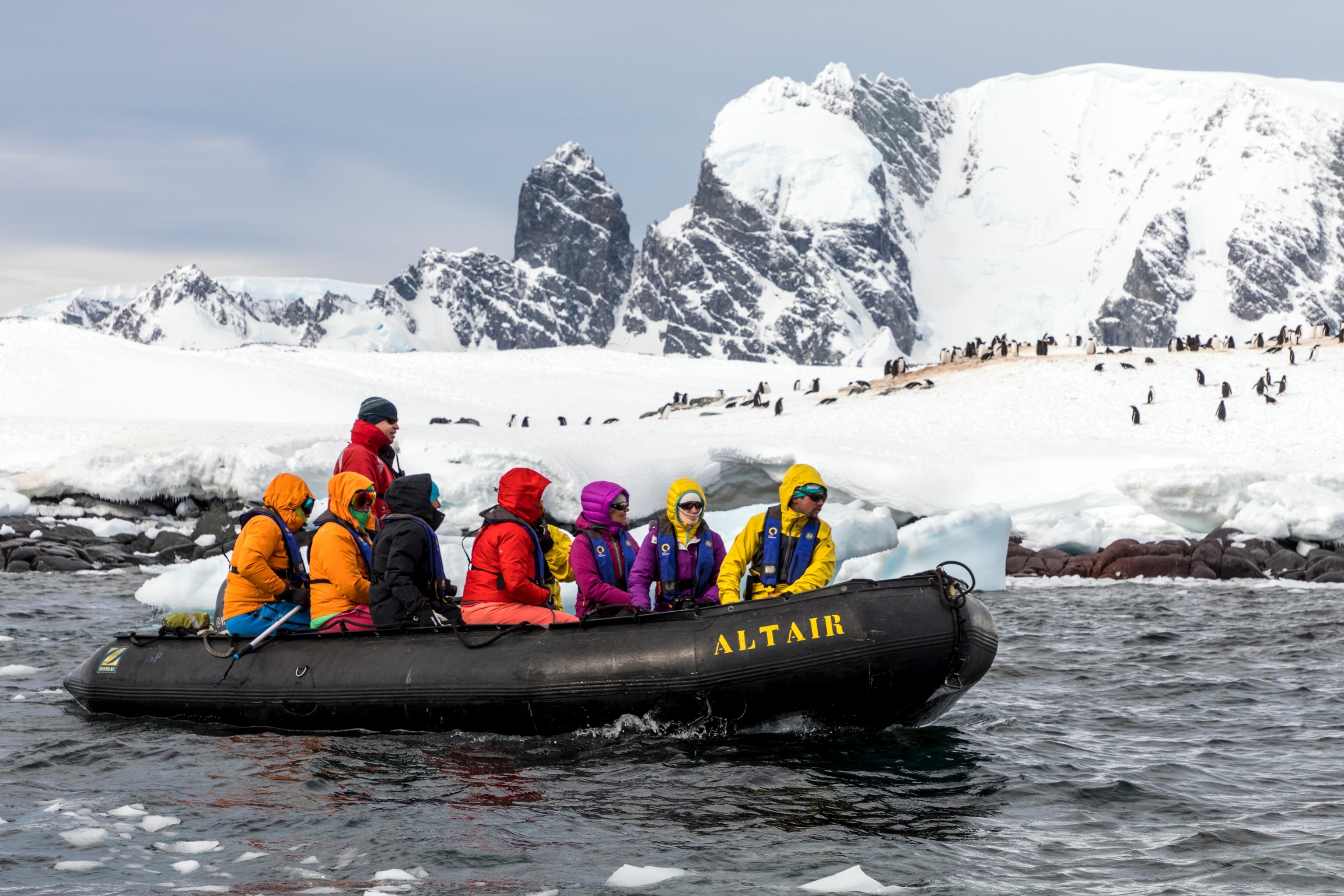 Large inflatable Zodiac boats shuttle alpine mountaineering skiers to Antarctica from the passenger ship Ocean Adventurer; Gentoo Penguins beyond