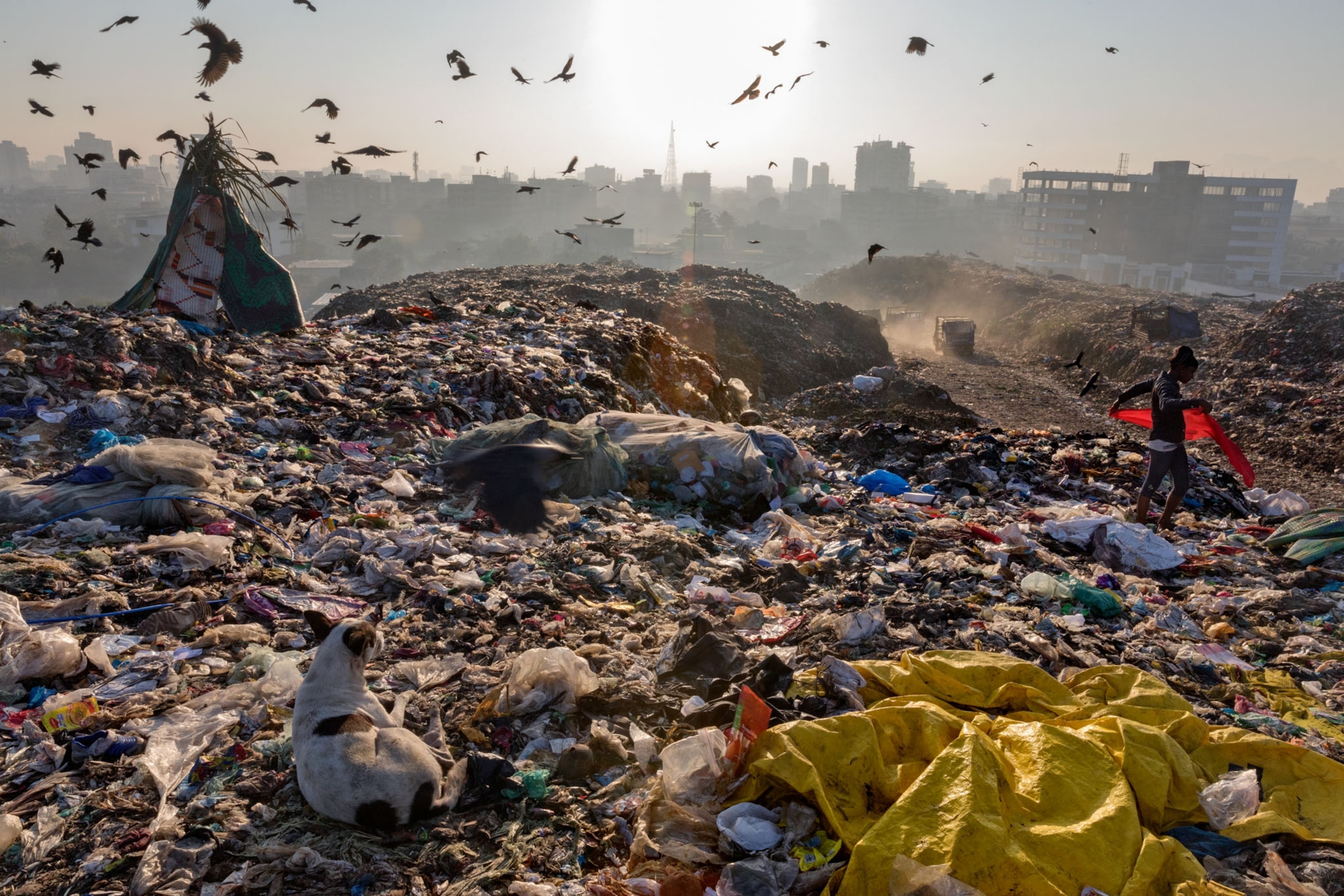 trash pickers in Indian dump