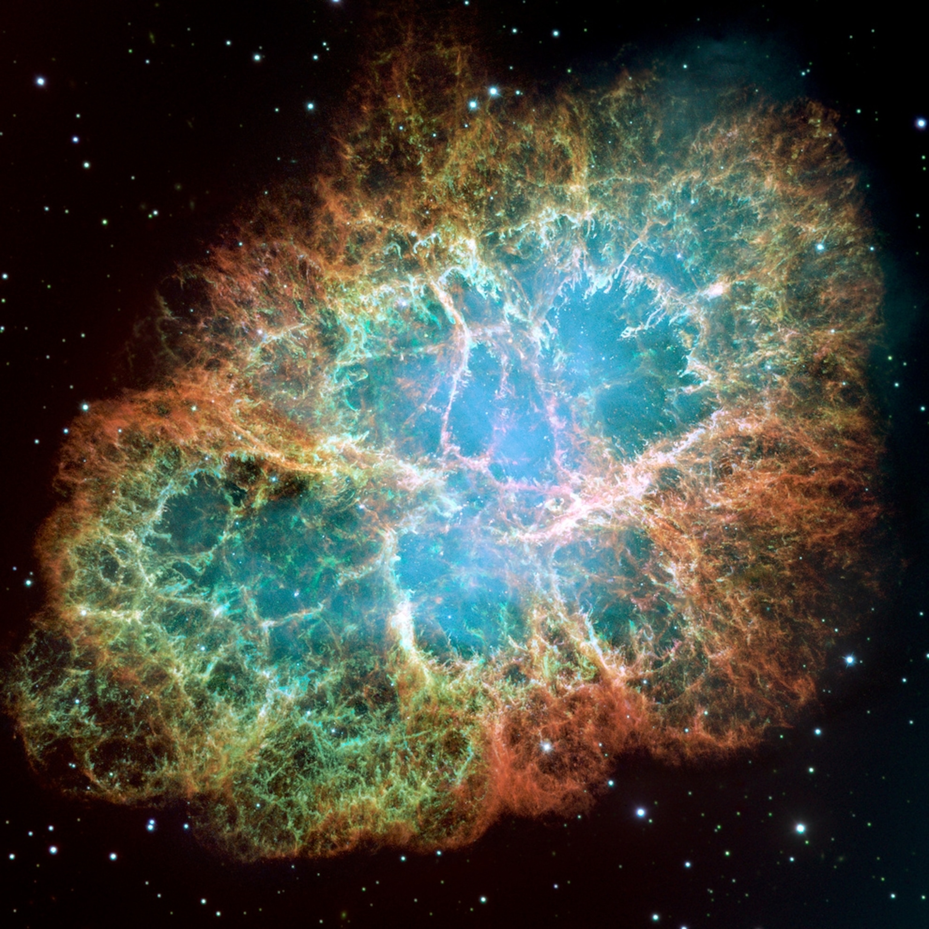 the Crab Nebula